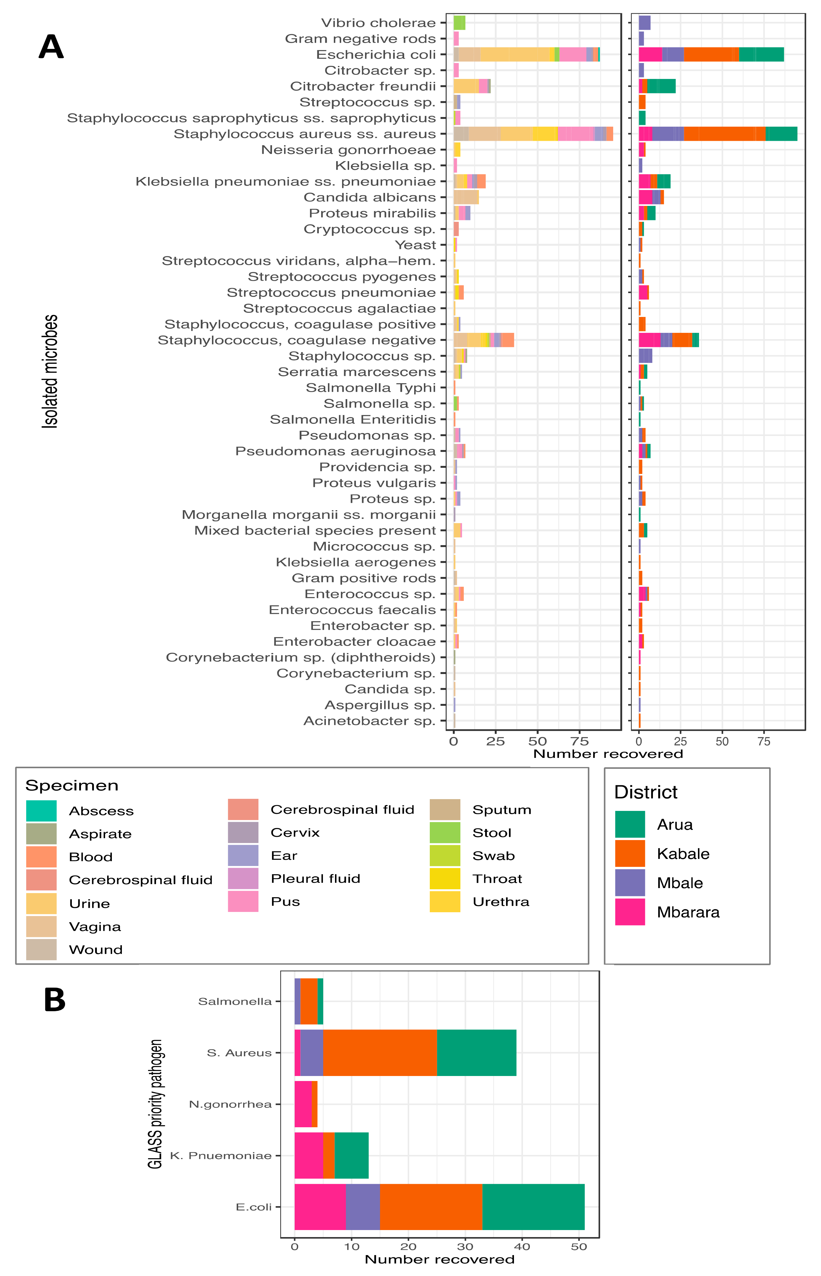 Tropicalmed 06 00178 g005