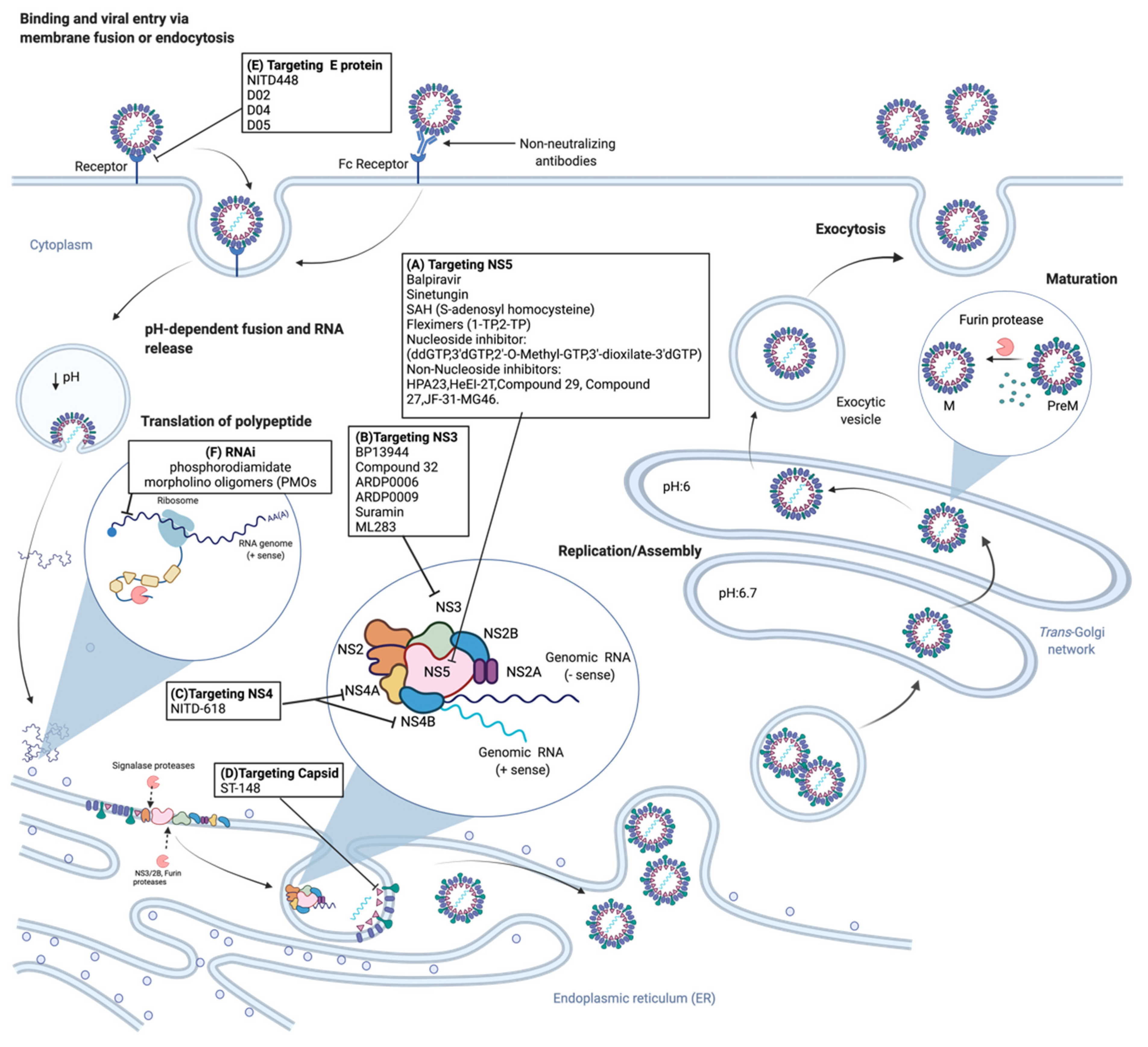 Tropicalmed 06 00180 g002