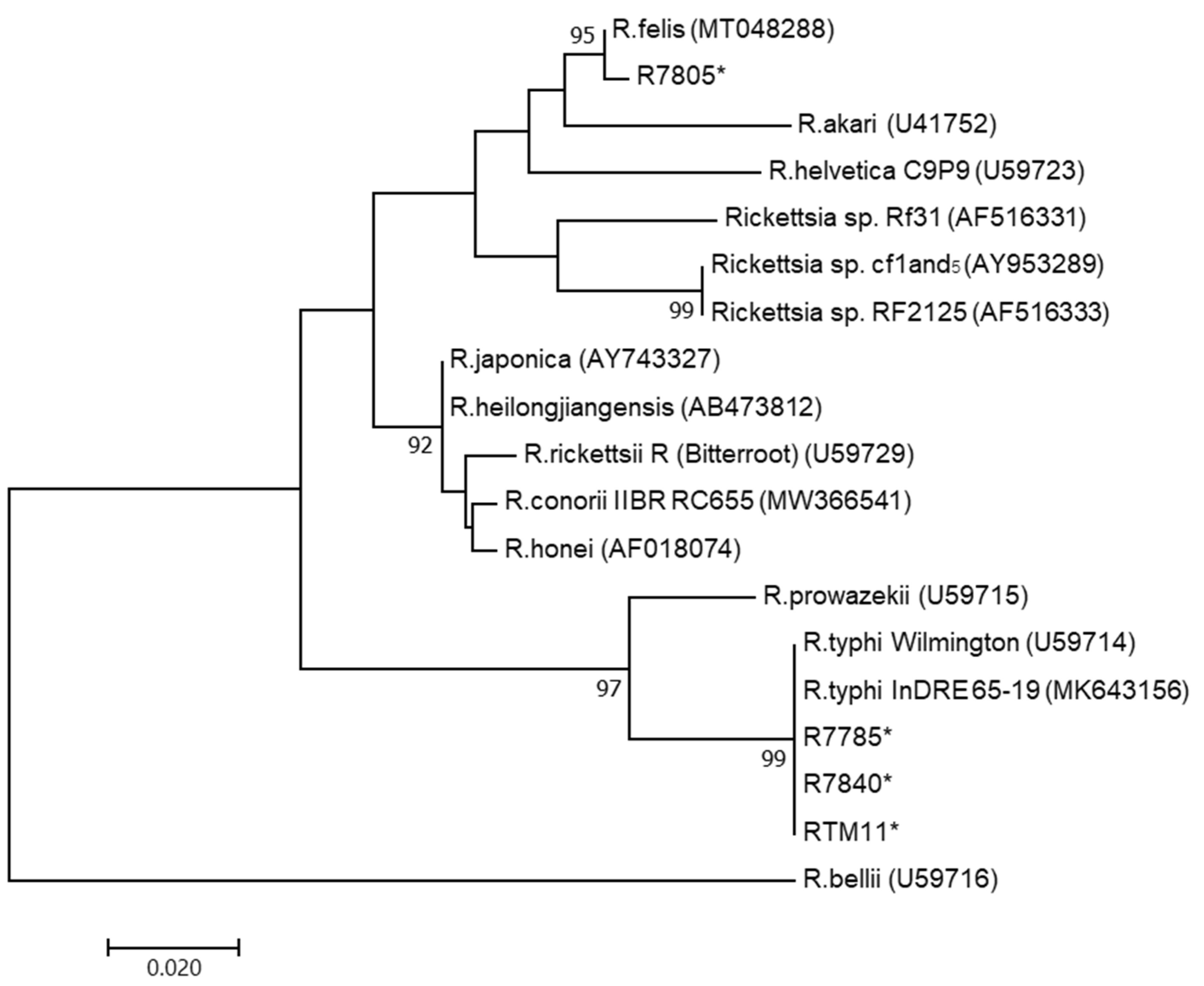 Tropicalmed 06 00199 g002
