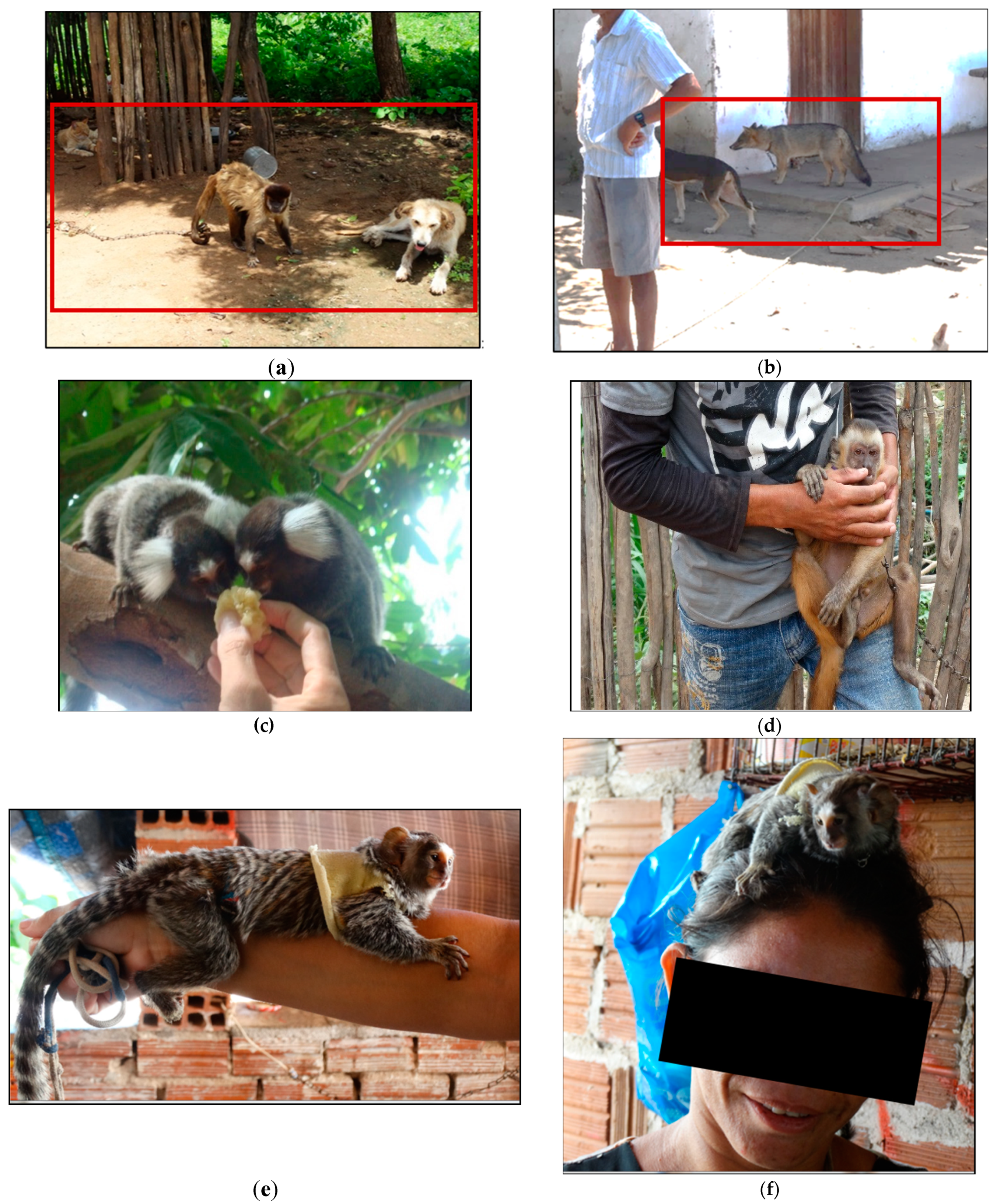 Tropicalmed 06 00209 g006a