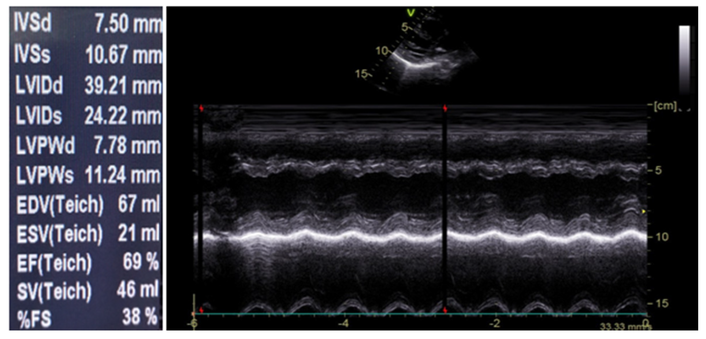 Tropicalmed 06 00212 g002 Tropicalmed 06 00212 g002