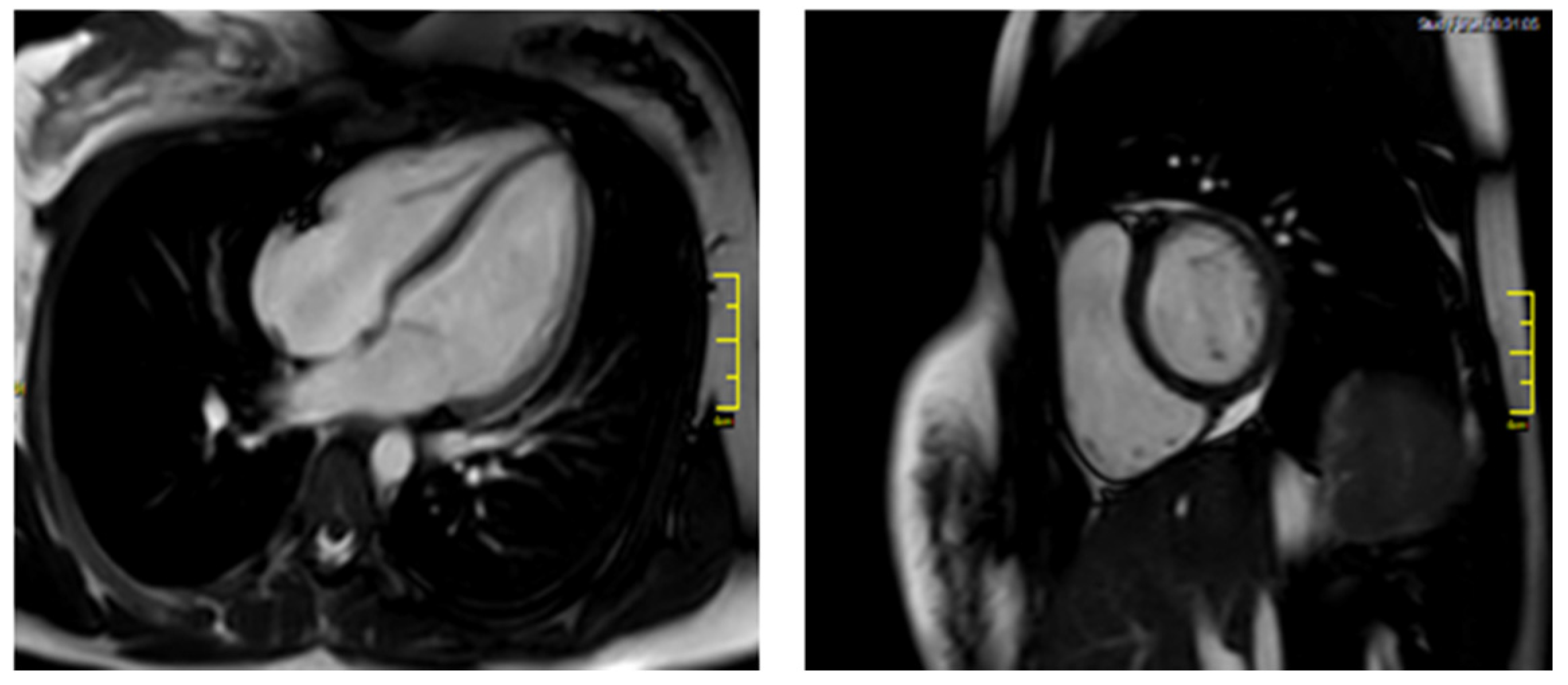 Tropicalmed 06 00212 g003 Tropicalmed 06 00212 g003