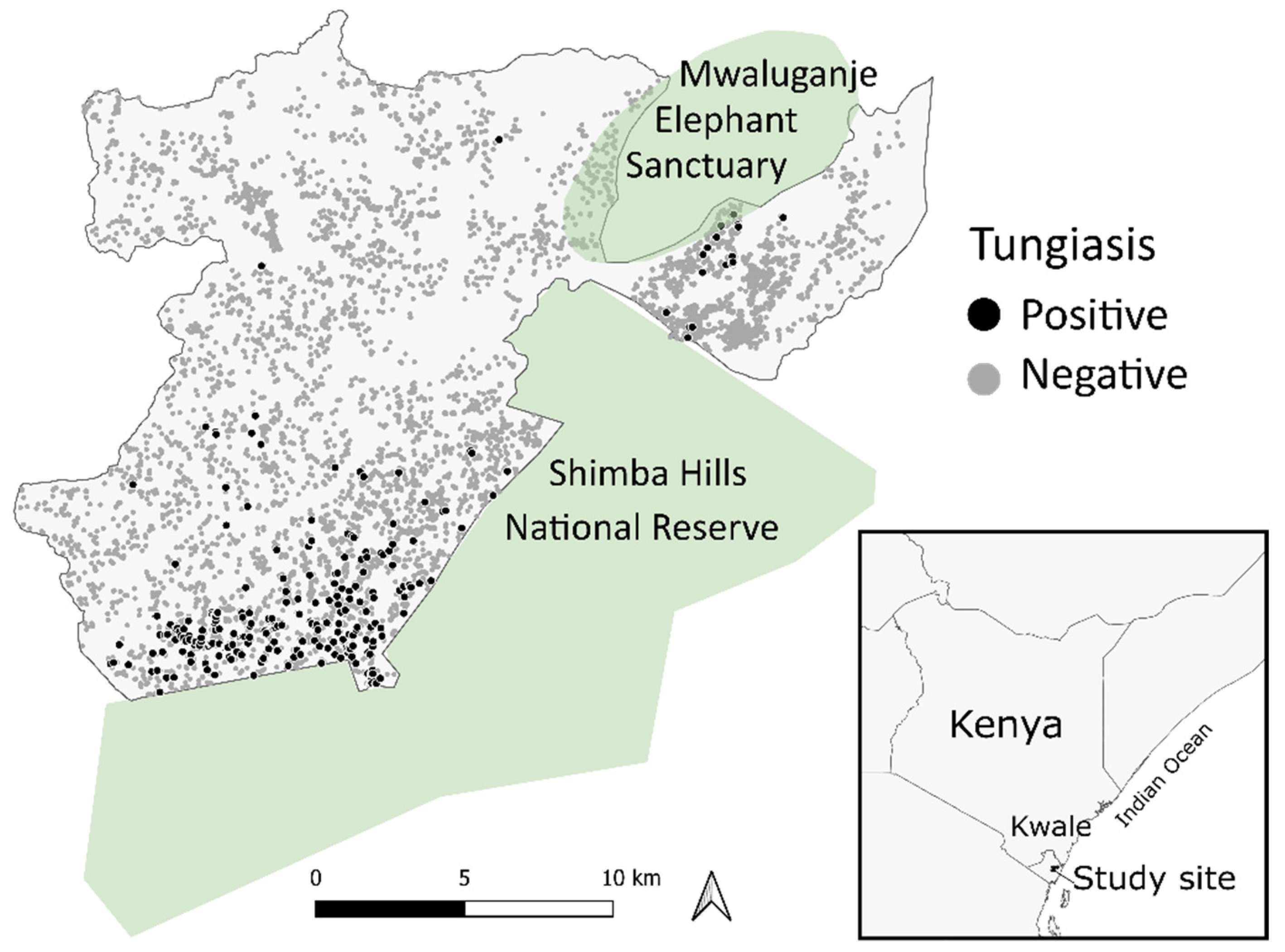 Tropicalmed 07 00002 g001 Tropicalmed 07 00002 g001