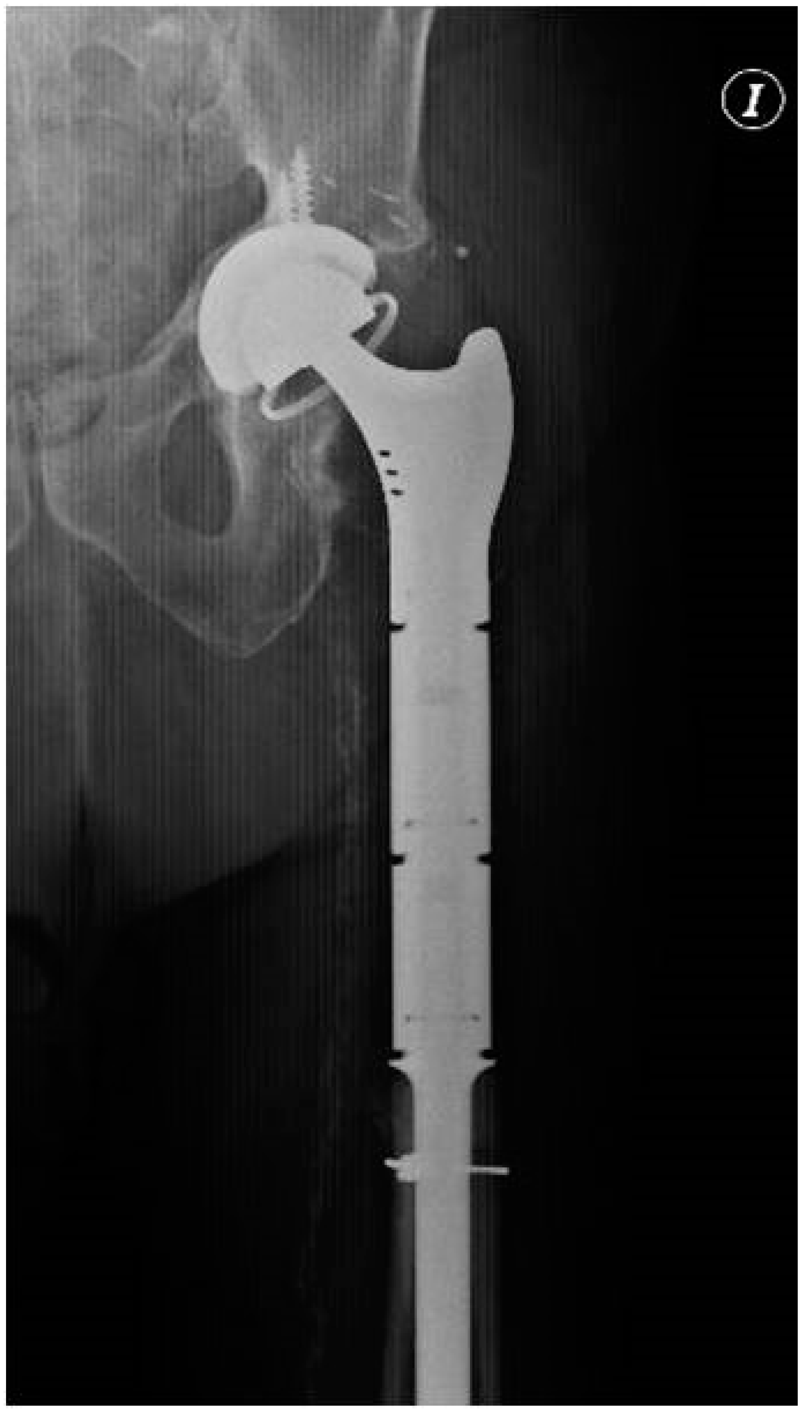 Tropicalmed 07 00005 g002