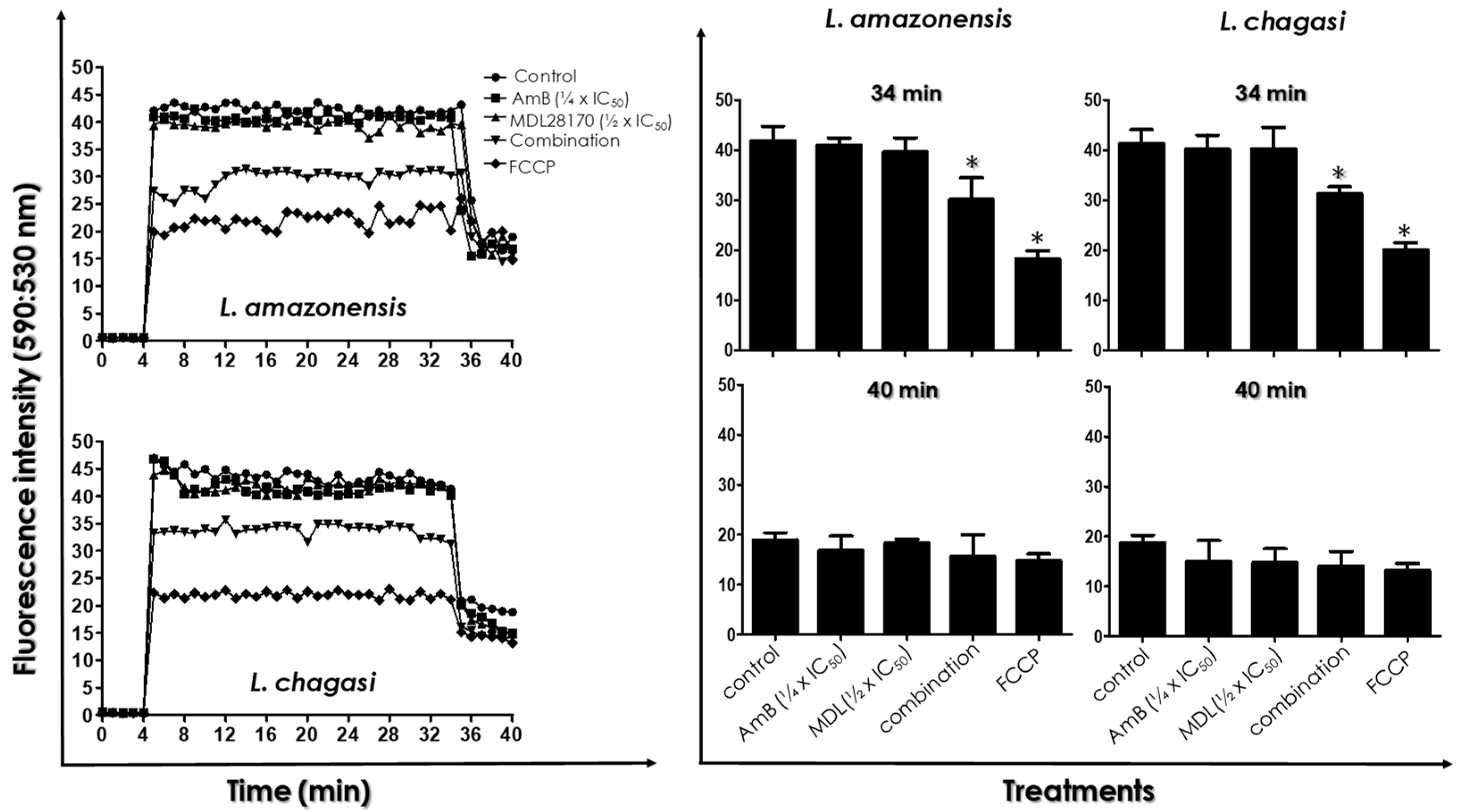 Tropicalmed 07 00029 g004