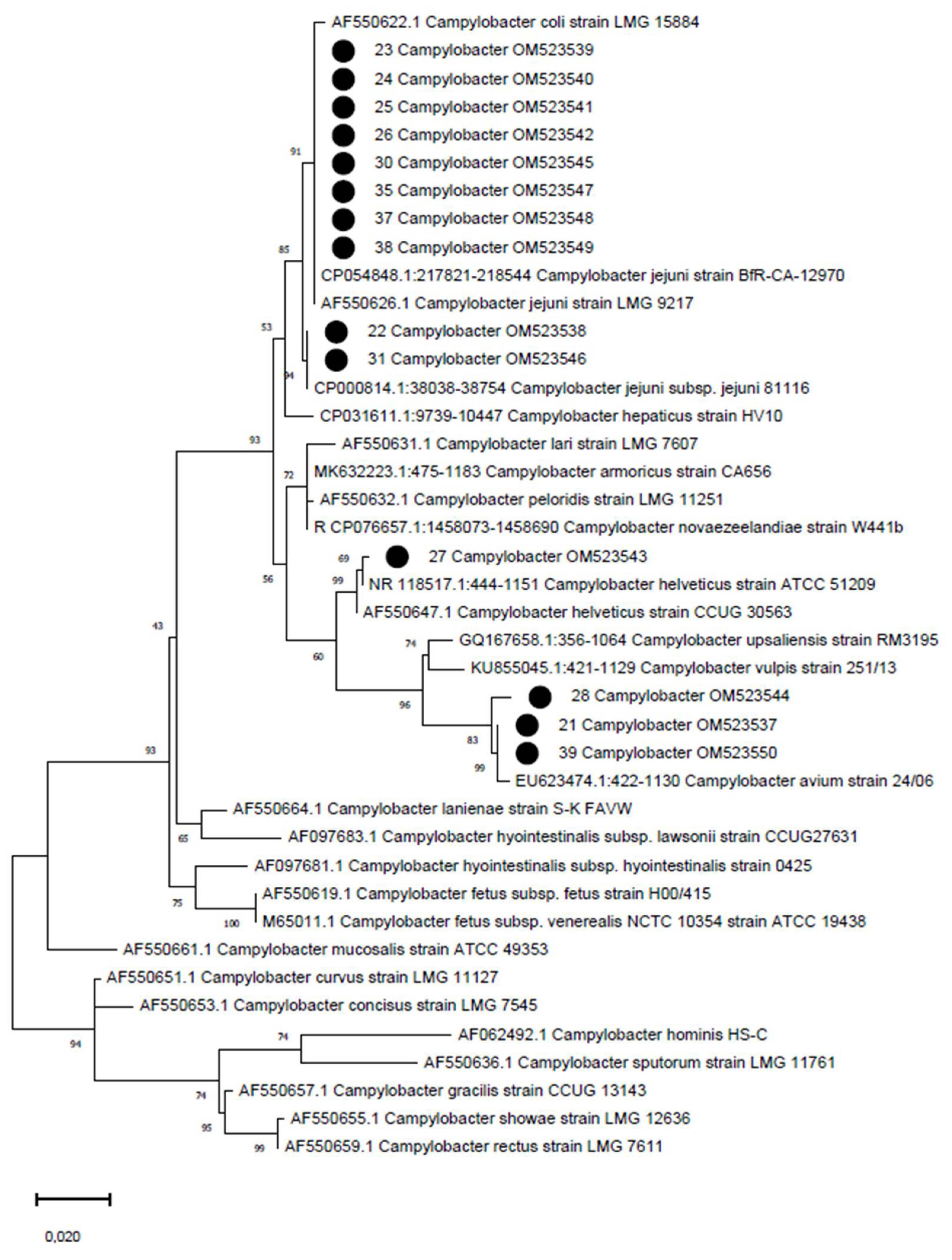 Tropicalmed 07 00031 g001