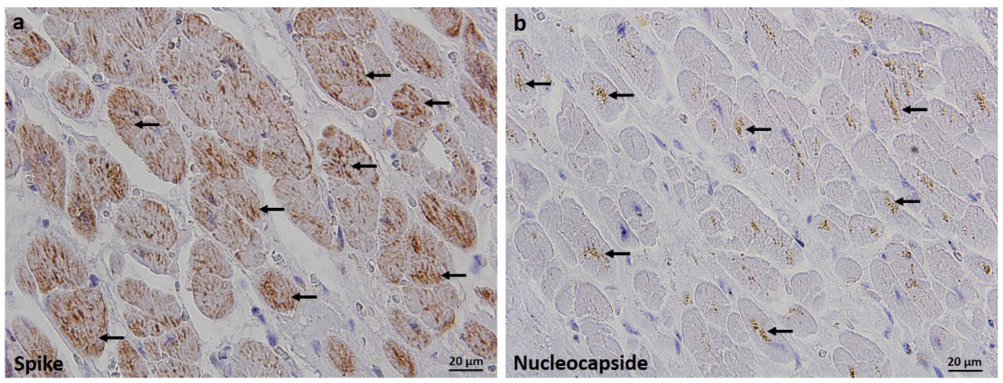 Tropicalmed 07 00043 g001