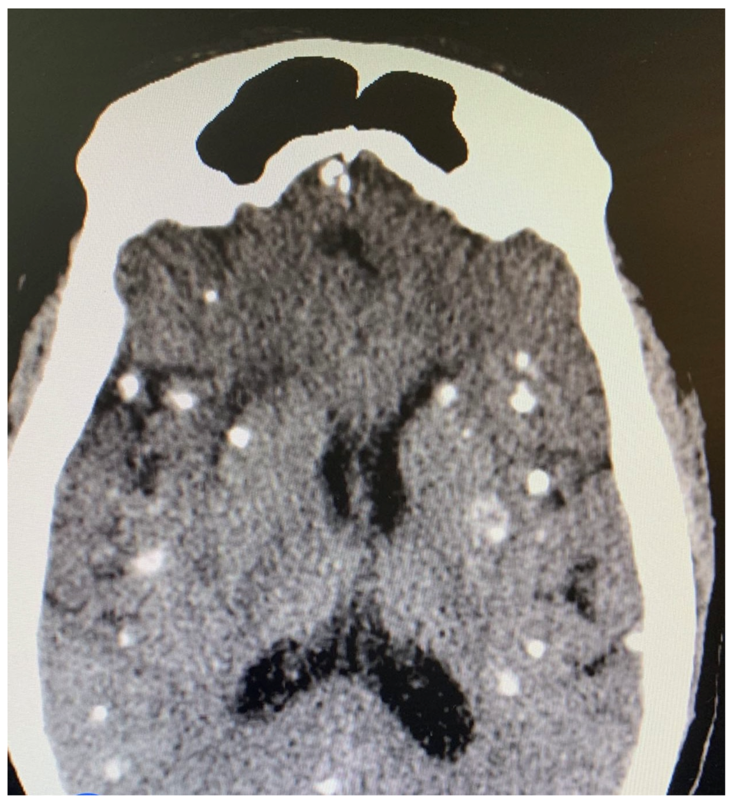 Tropicalmed 07 00096 g002