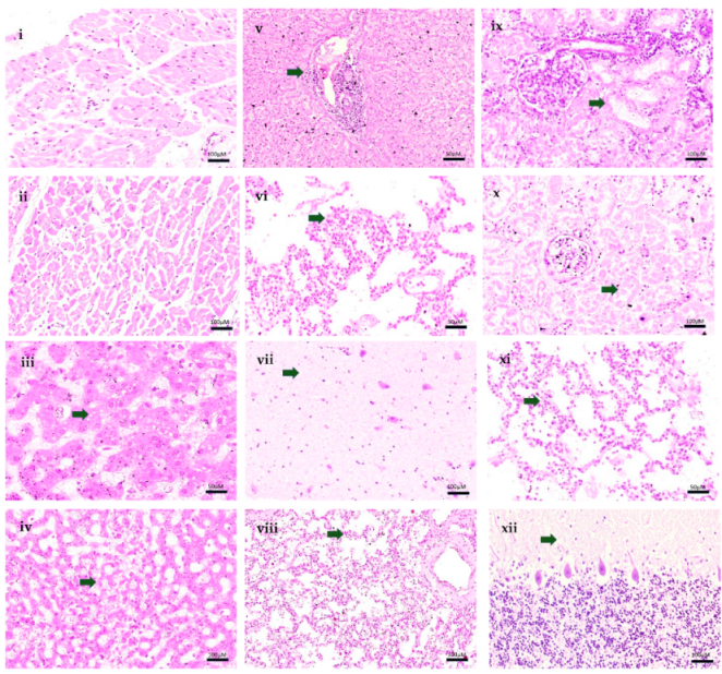 Tropicalmed 07 00123 g001