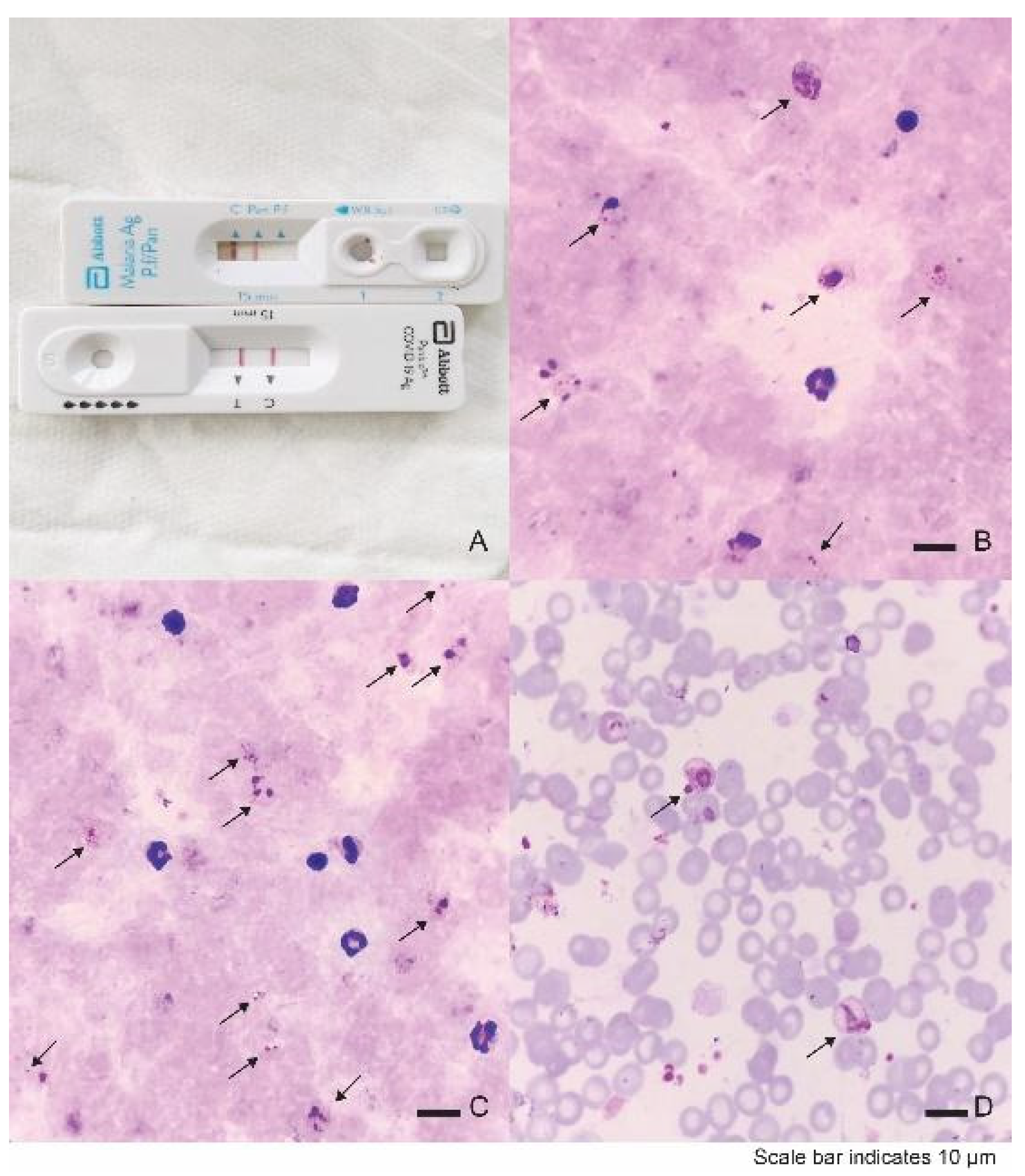 Tropicalmed 07 00145 g001
