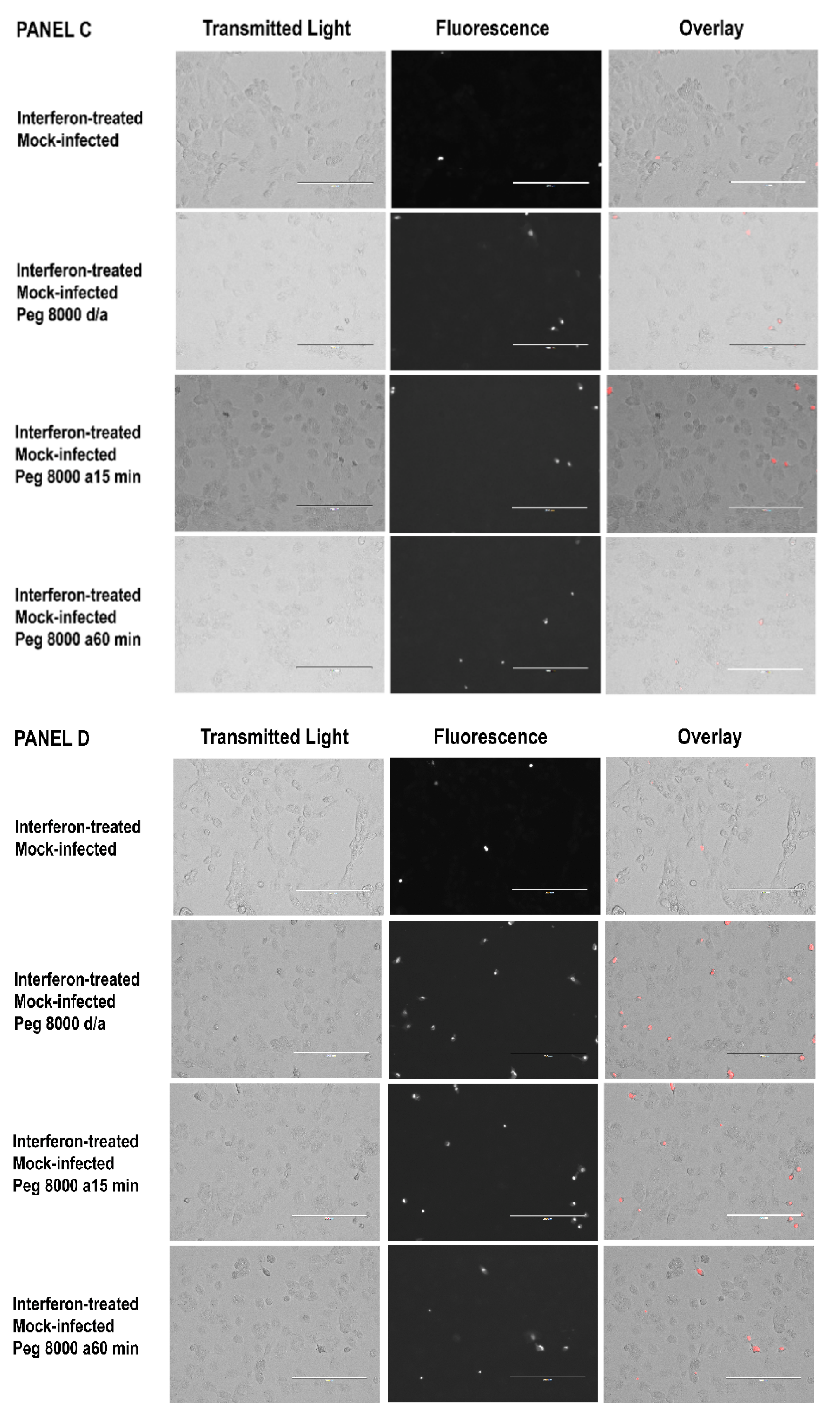 Tropicalmed 07 00163 g005b