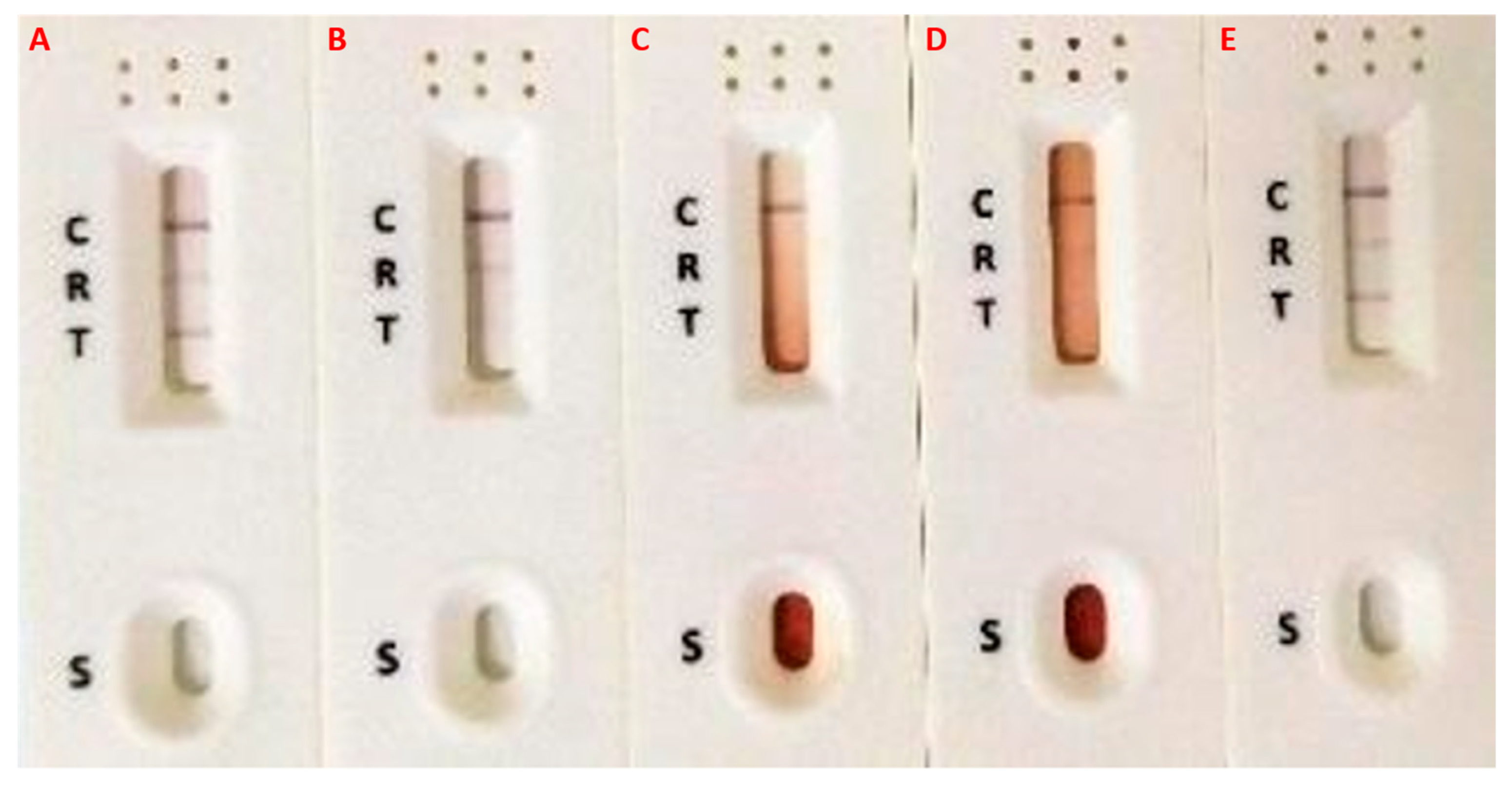 Tropicalmed 07 00169 g004