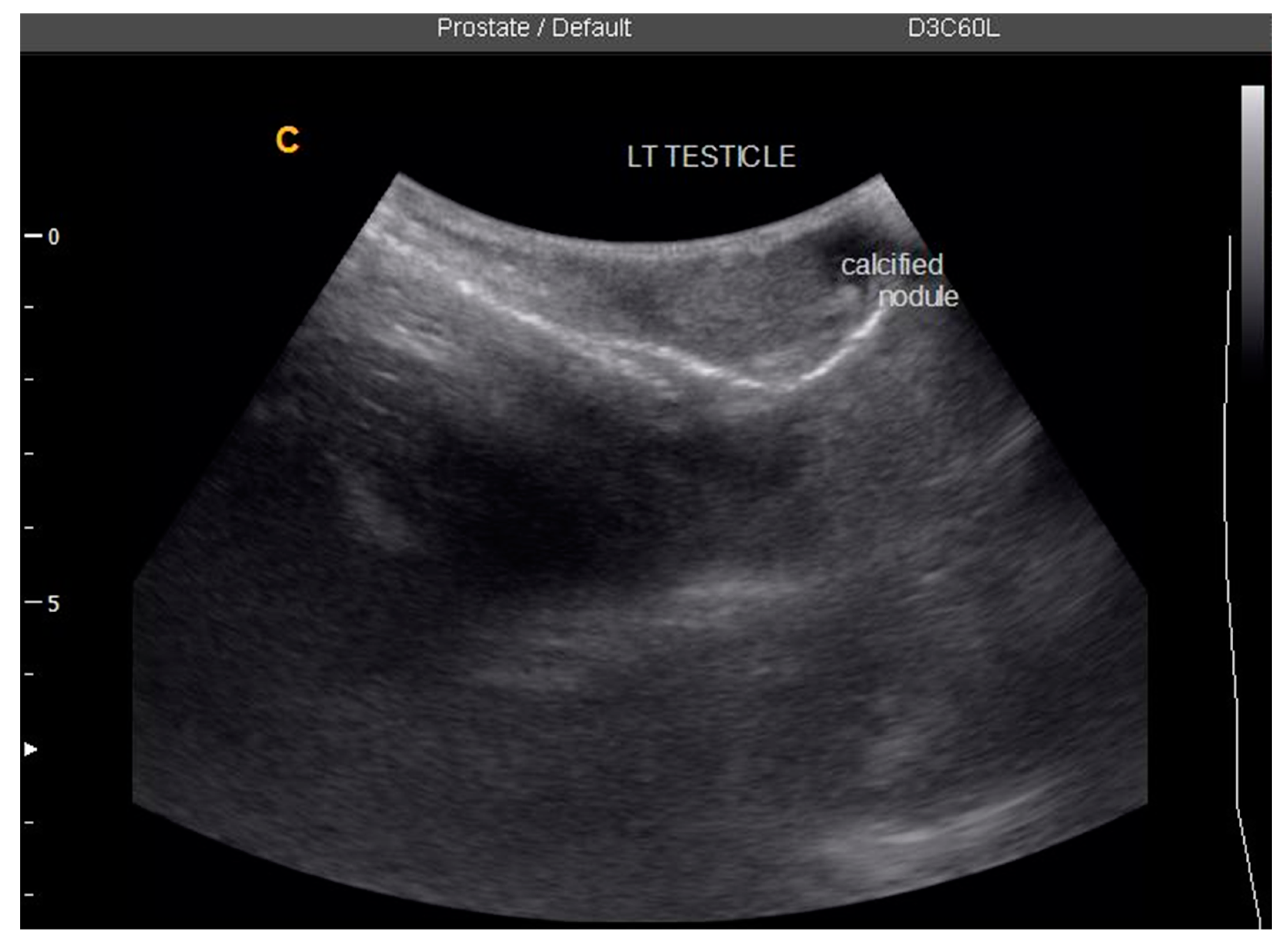 Tropicalmed 07 00169 g005