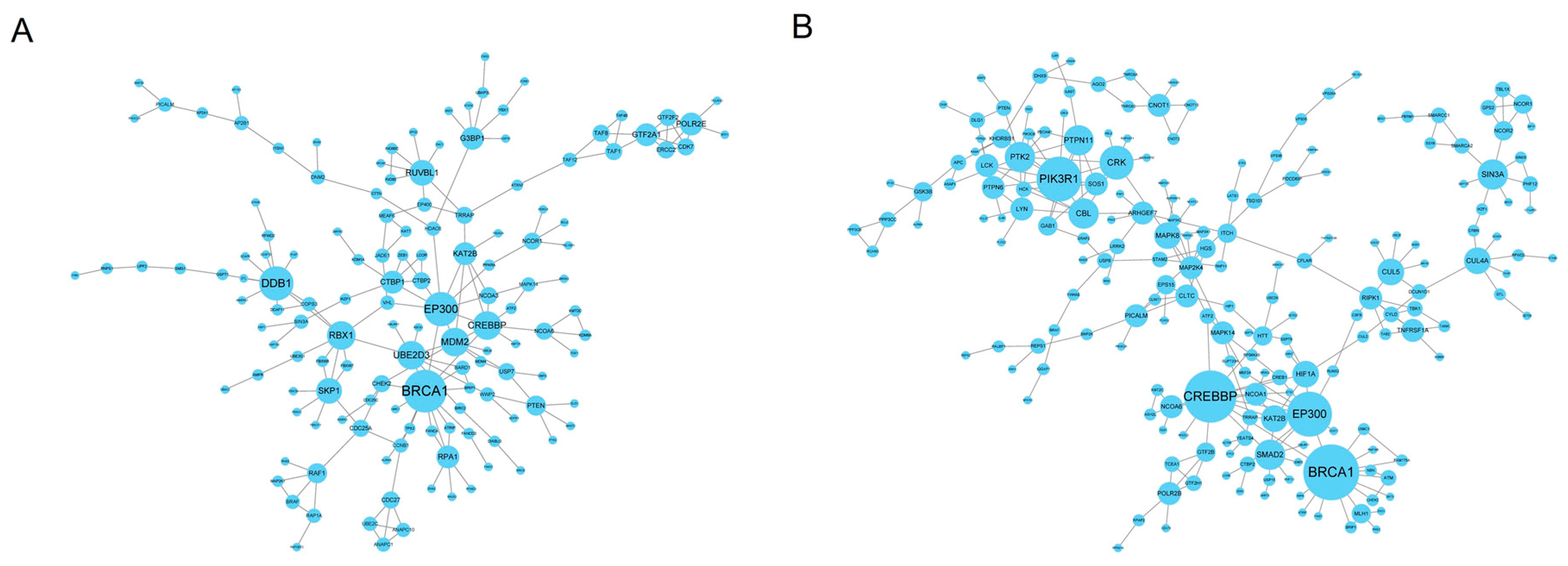Tropicalmed 07 00176 g004