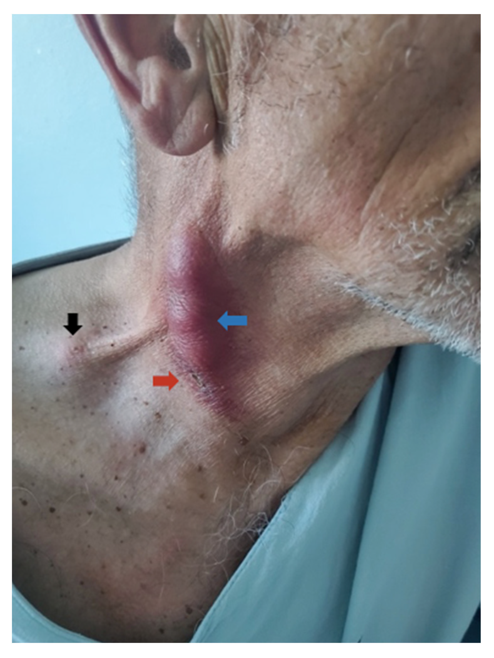 Tropicalmed 07 00189 g002