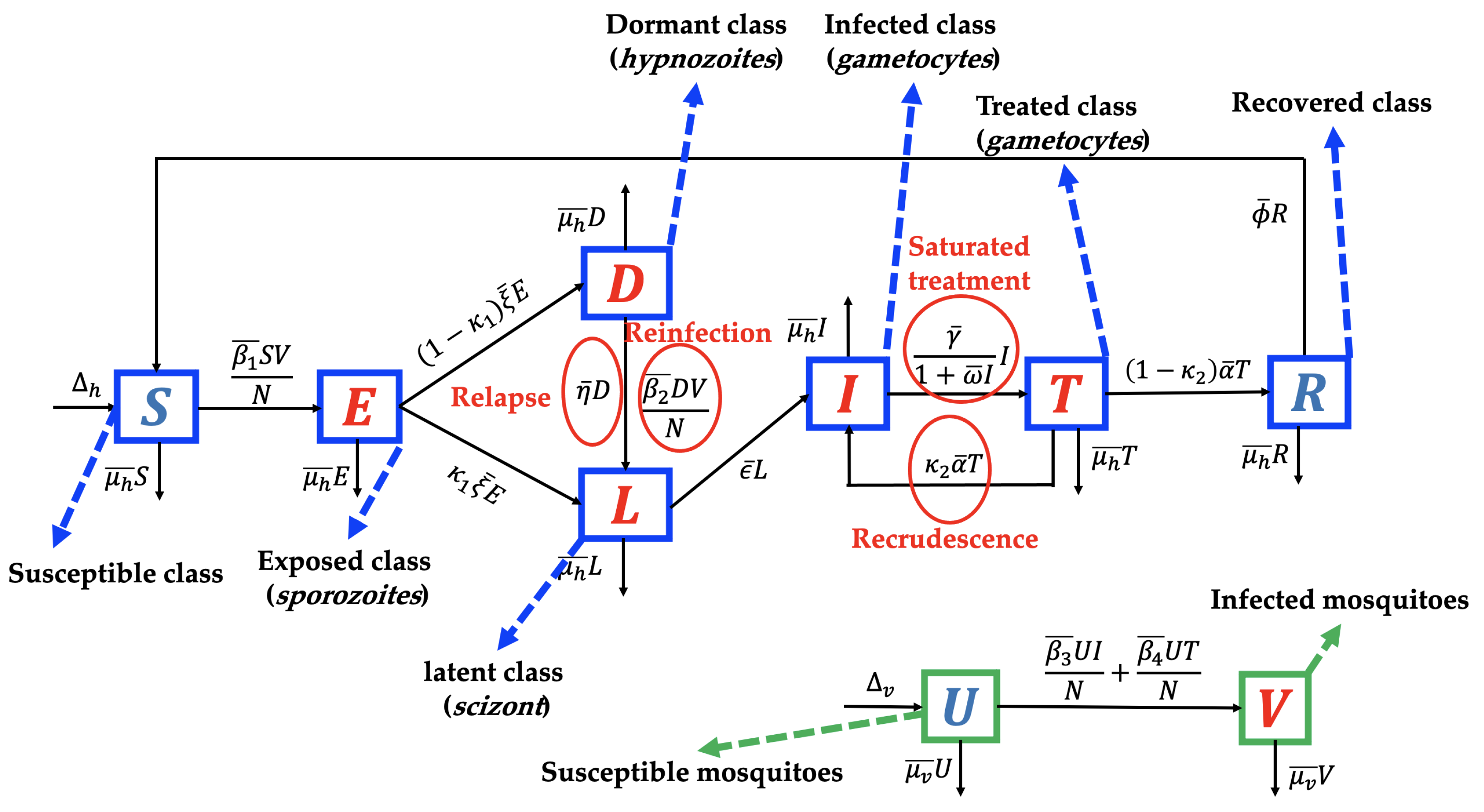 Tropicalmed 07 00263 g001