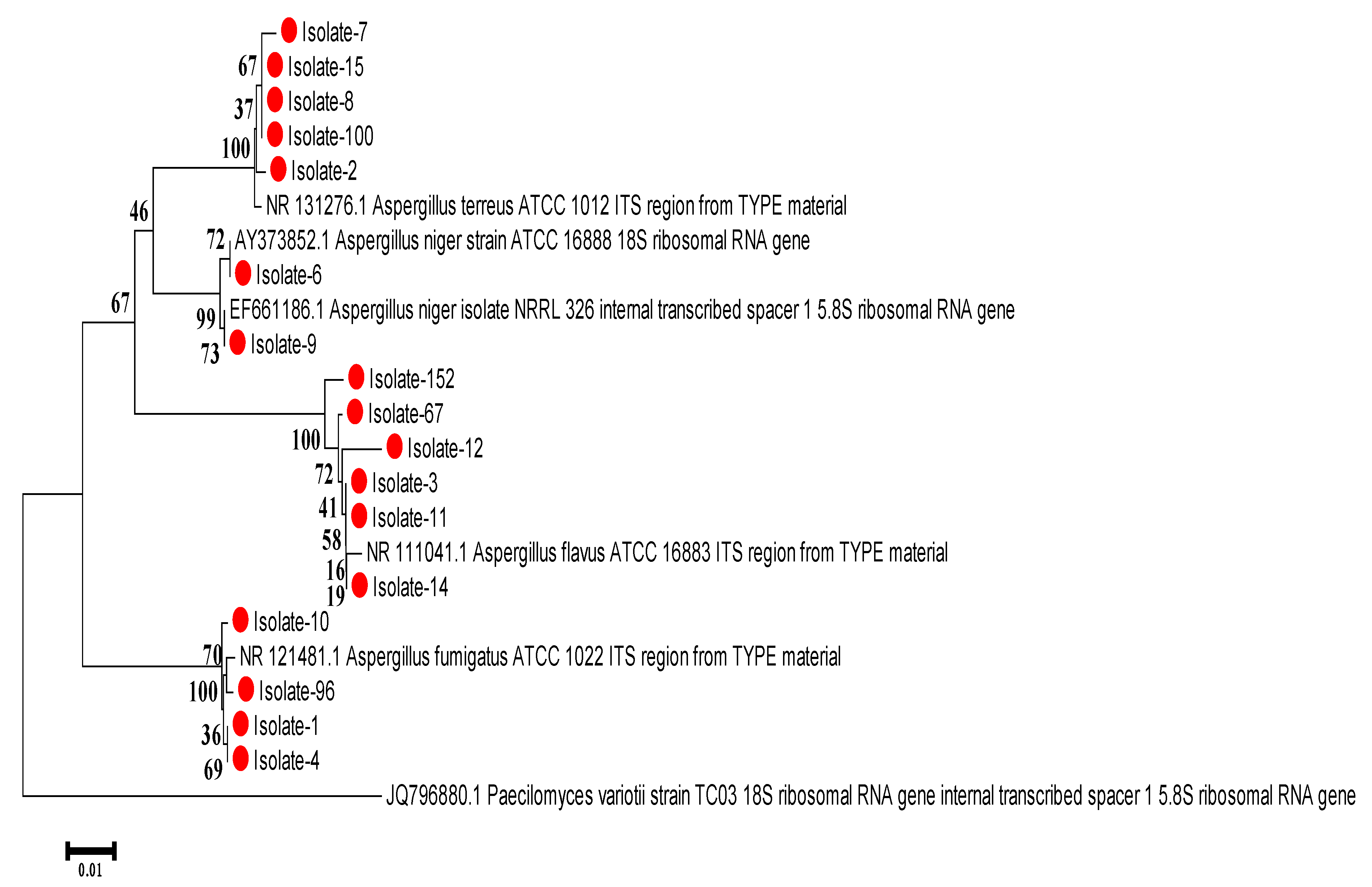 Tropicalmed 07 00274 g003