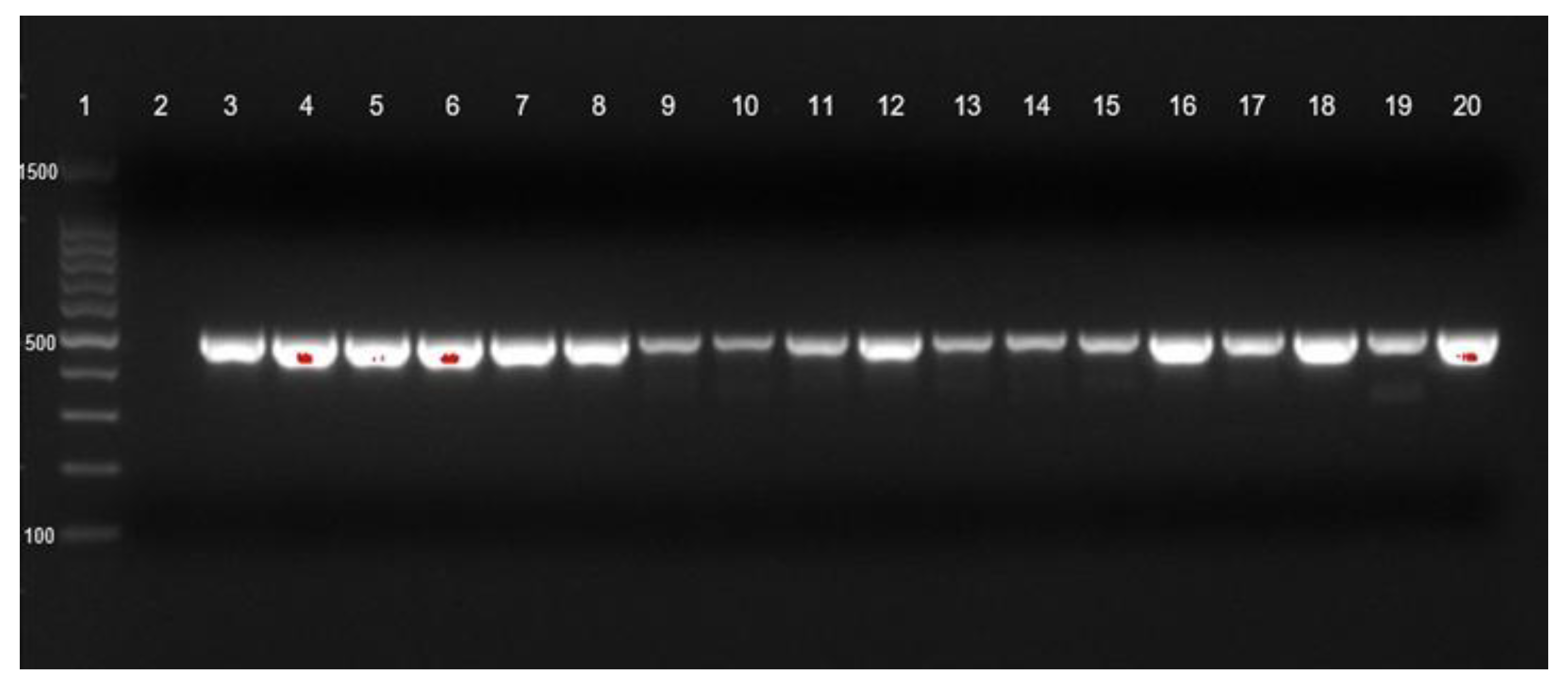 Tropicalmed 07 00277 g002