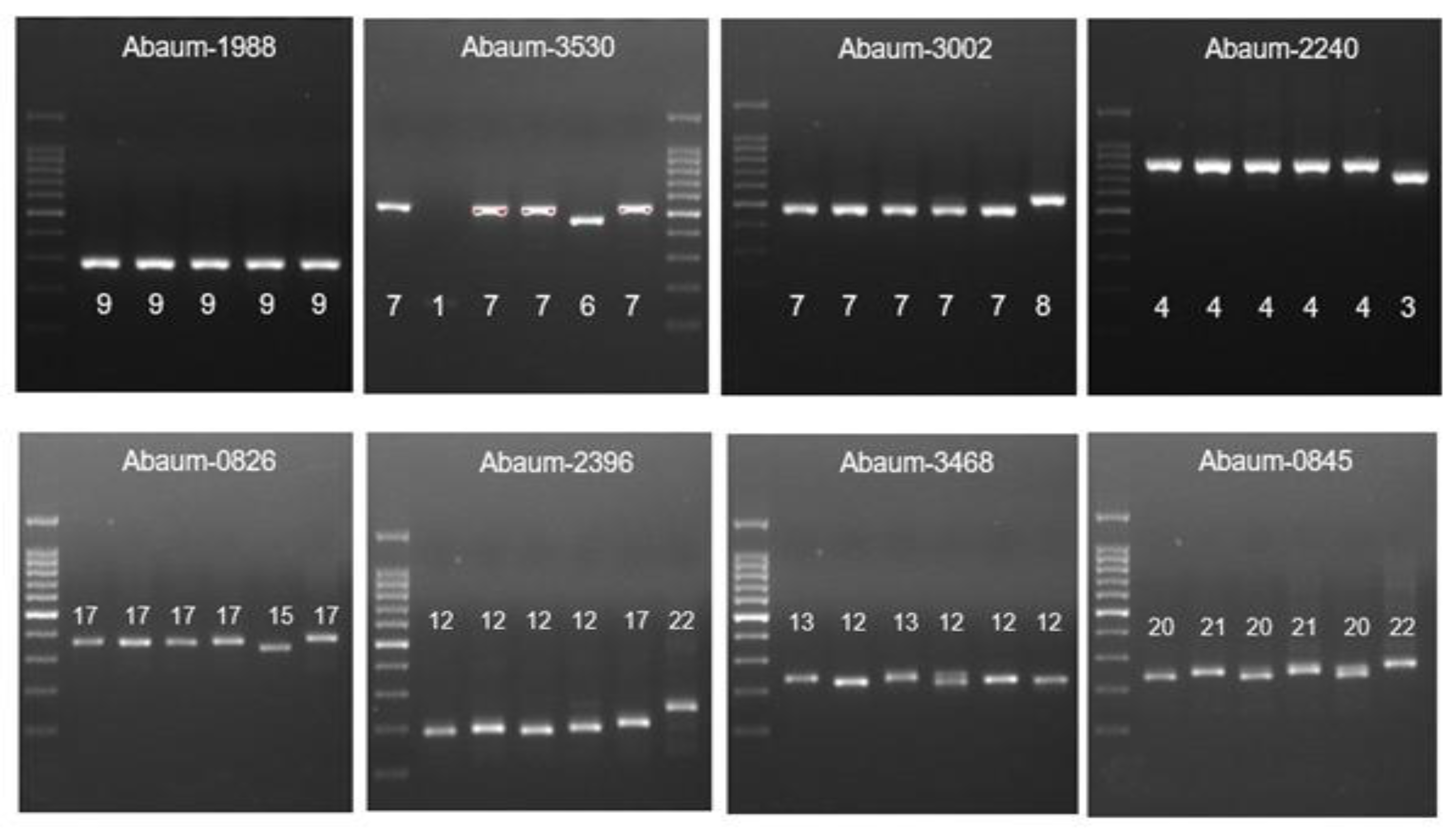 Tropicalmed 07 00277 g003