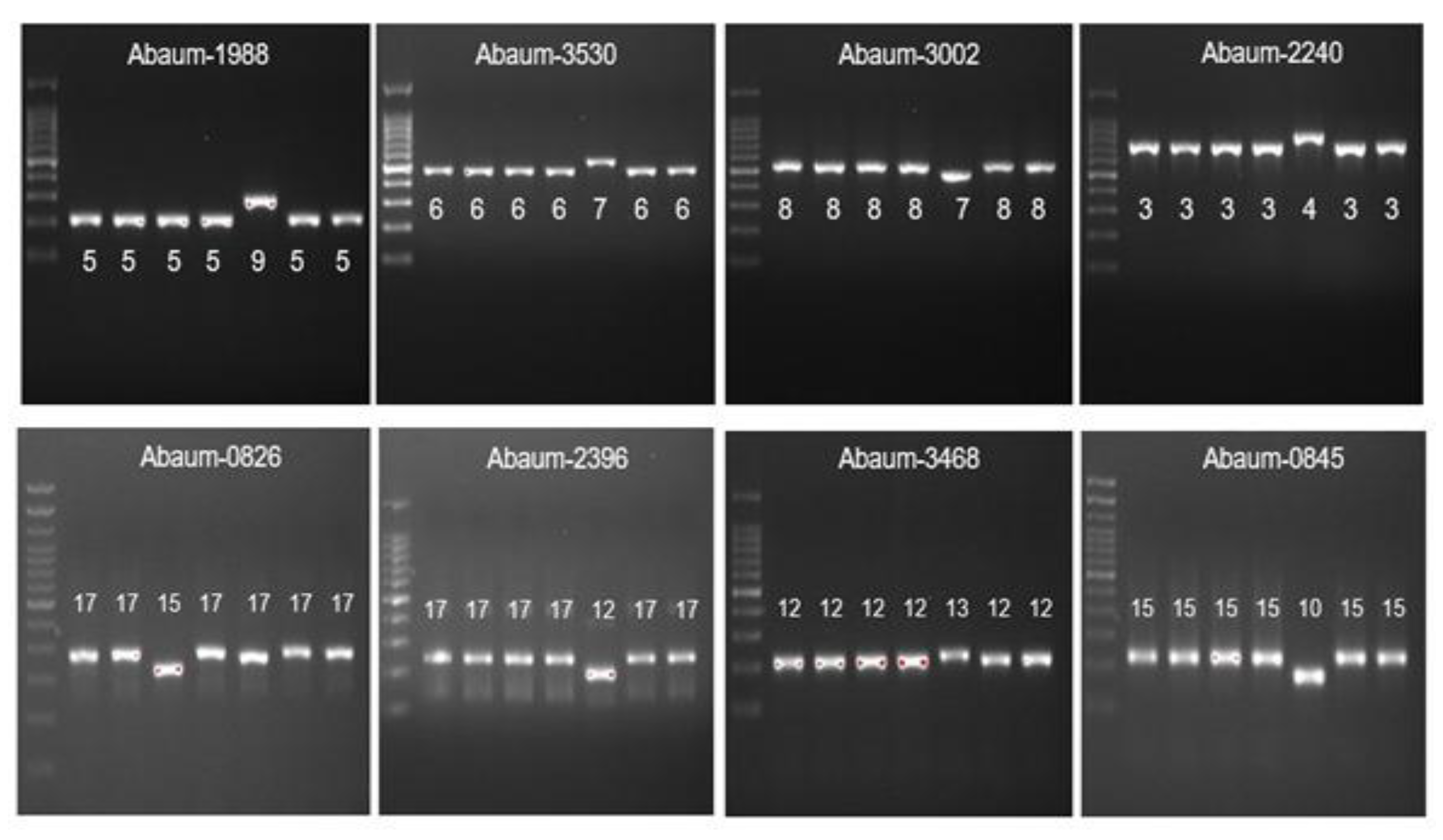 Tropicalmed 07 00277 g004