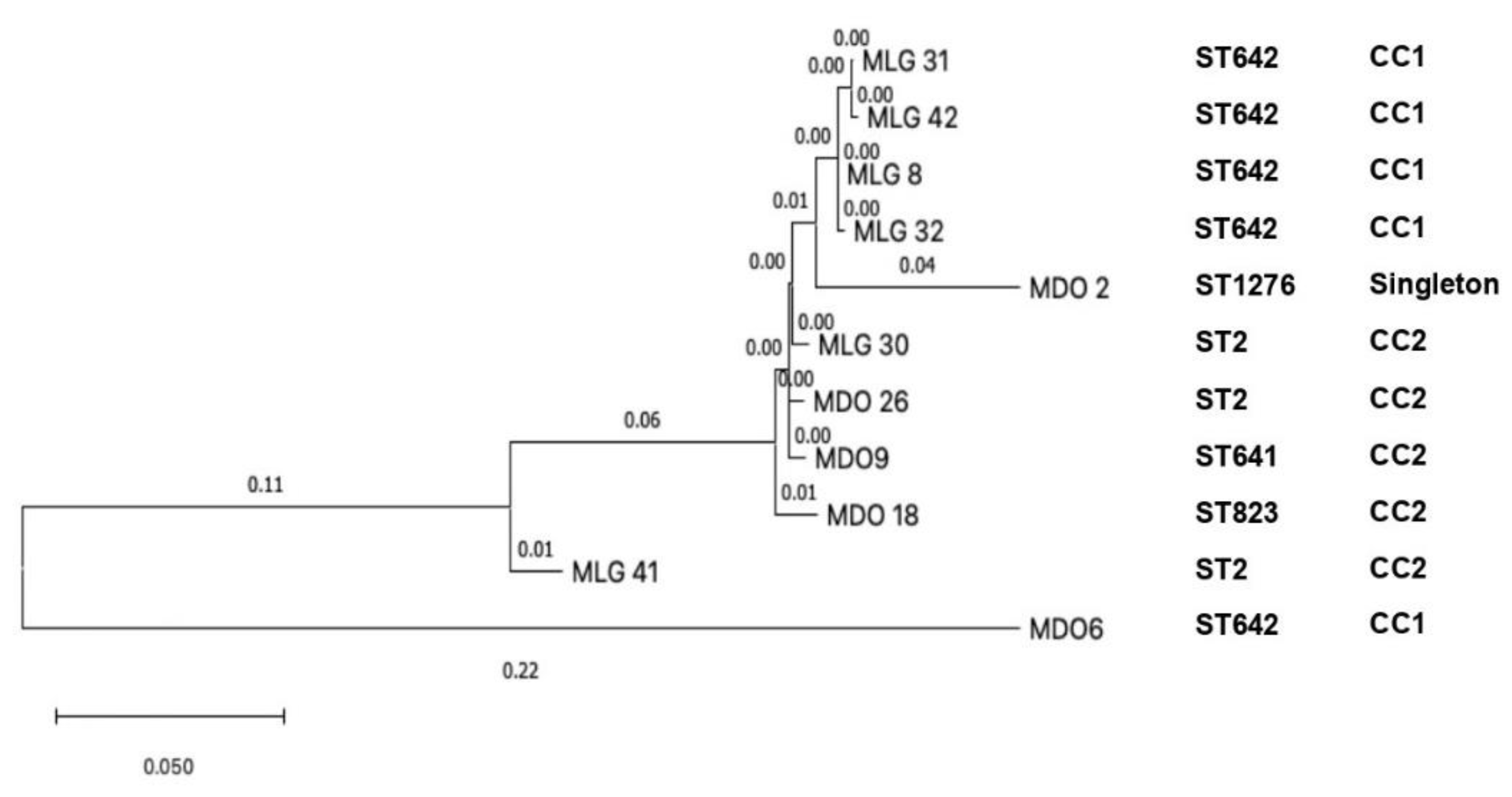 Tropicalmed 07 00277 g005