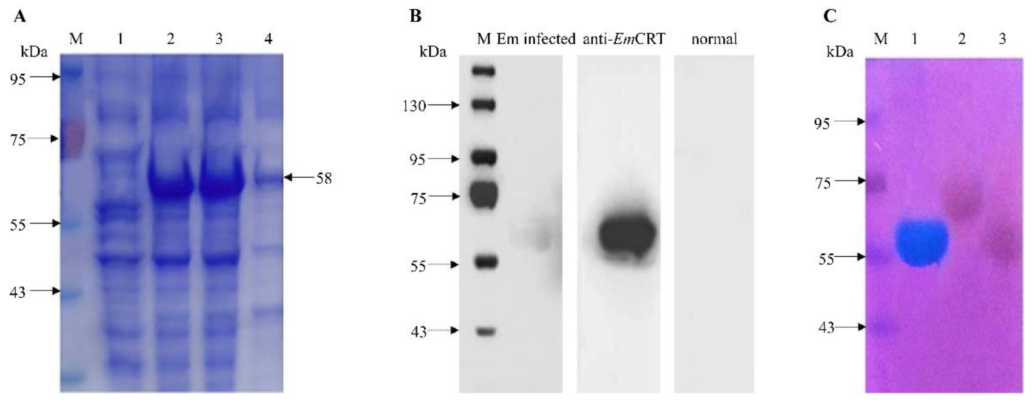 Tropicalmed 07 00279 g002 Tropicalmed 07 00279 g002