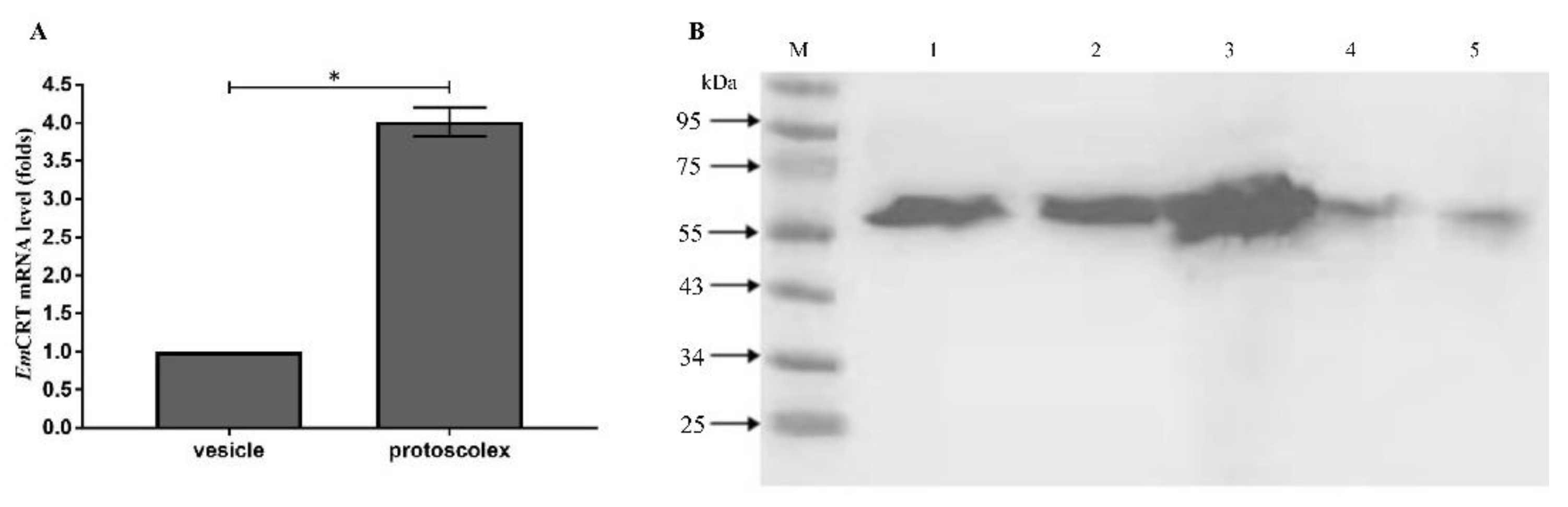 Tropicalmed 07 00279 g003 Tropicalmed 07 00279 g003