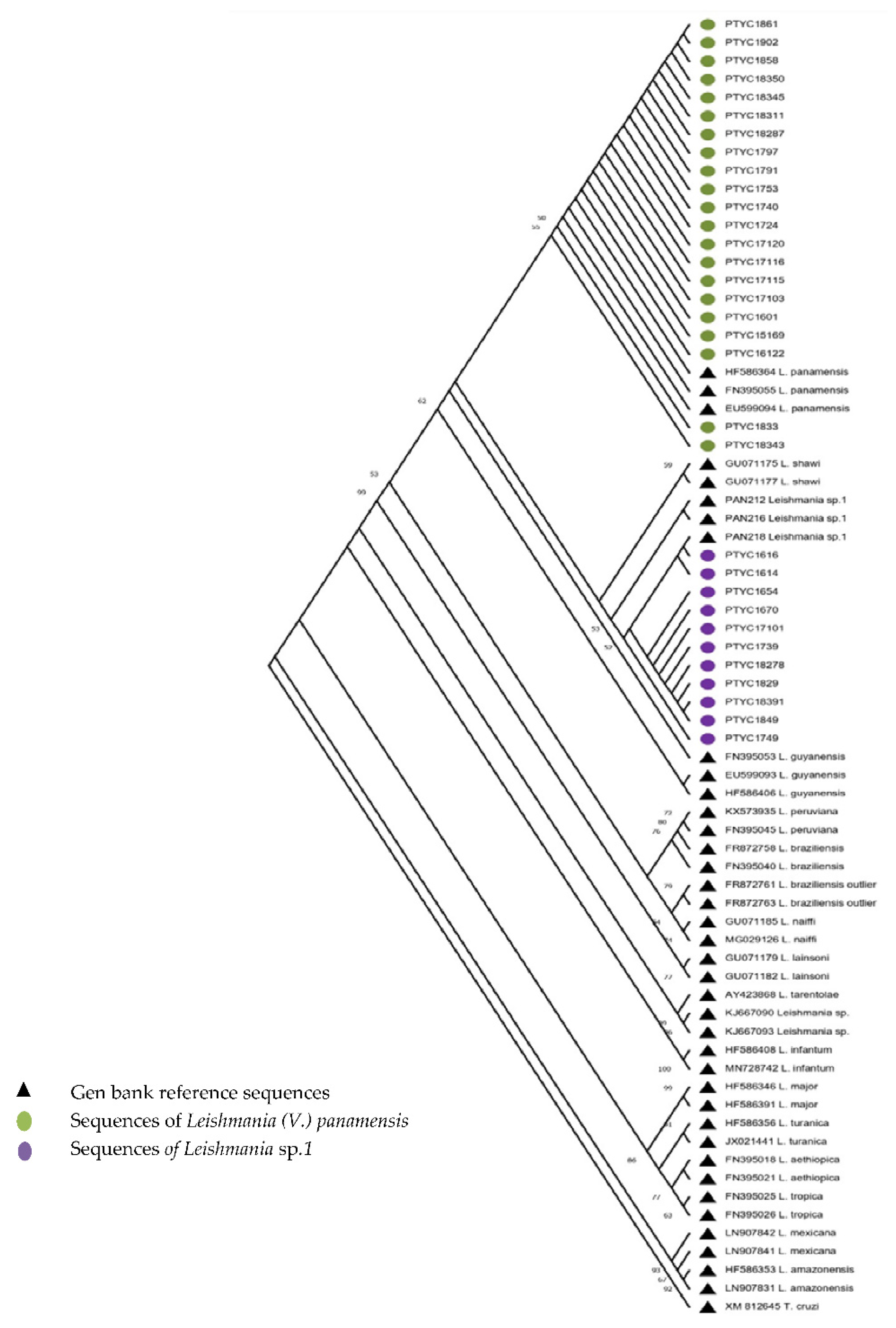 Tropicalmed 07 00282 g001