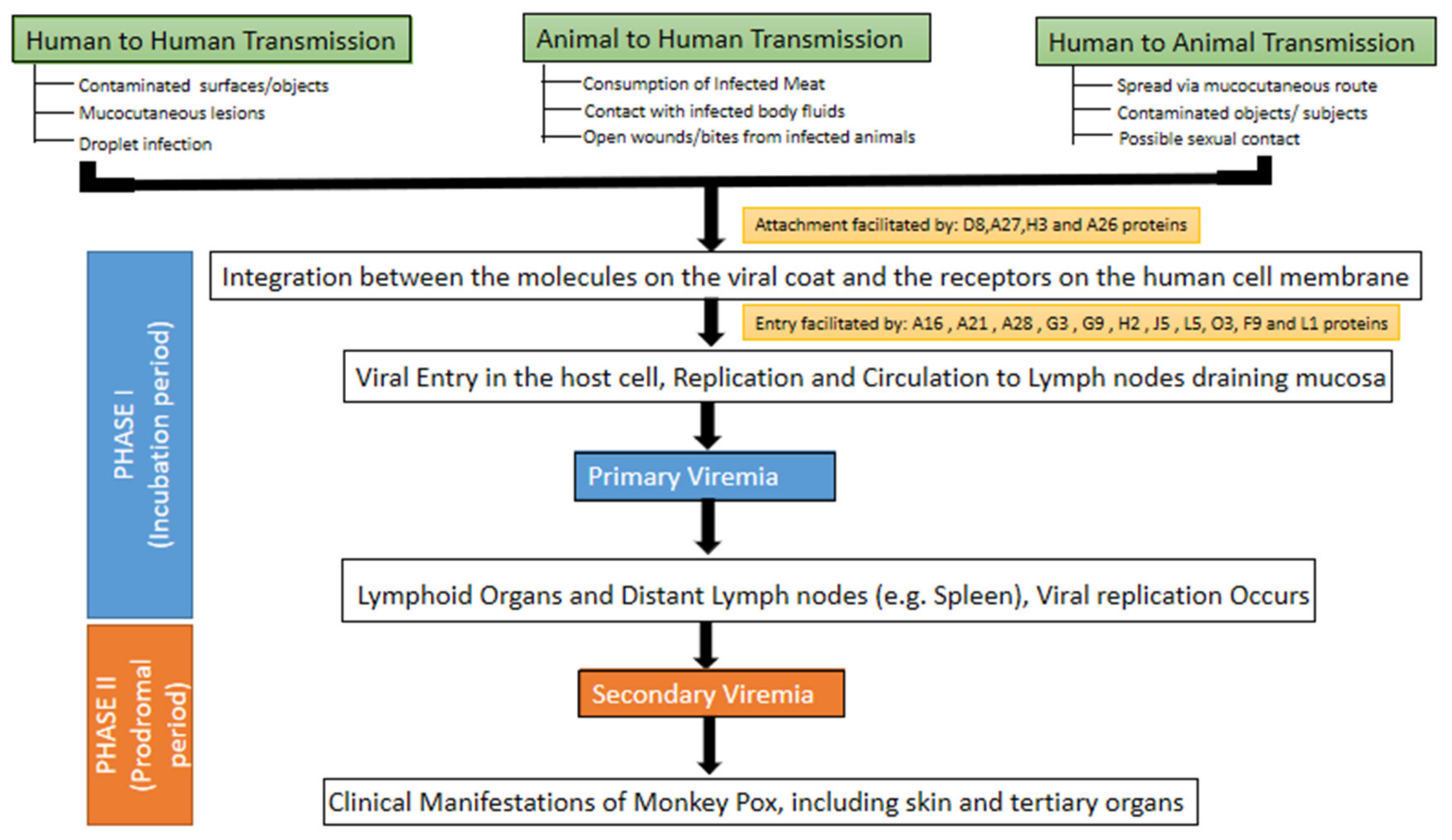 Tropicalmed 07 00283 g003