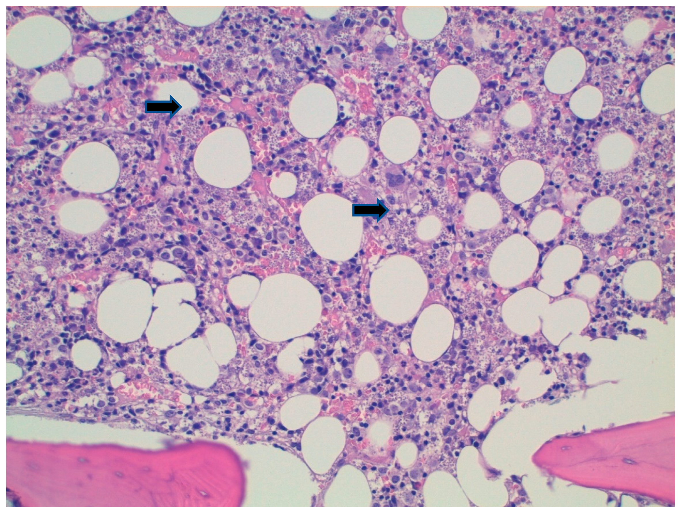 Tropicalmed 07 00319 g002 Tropicalmed 07 00319 g002