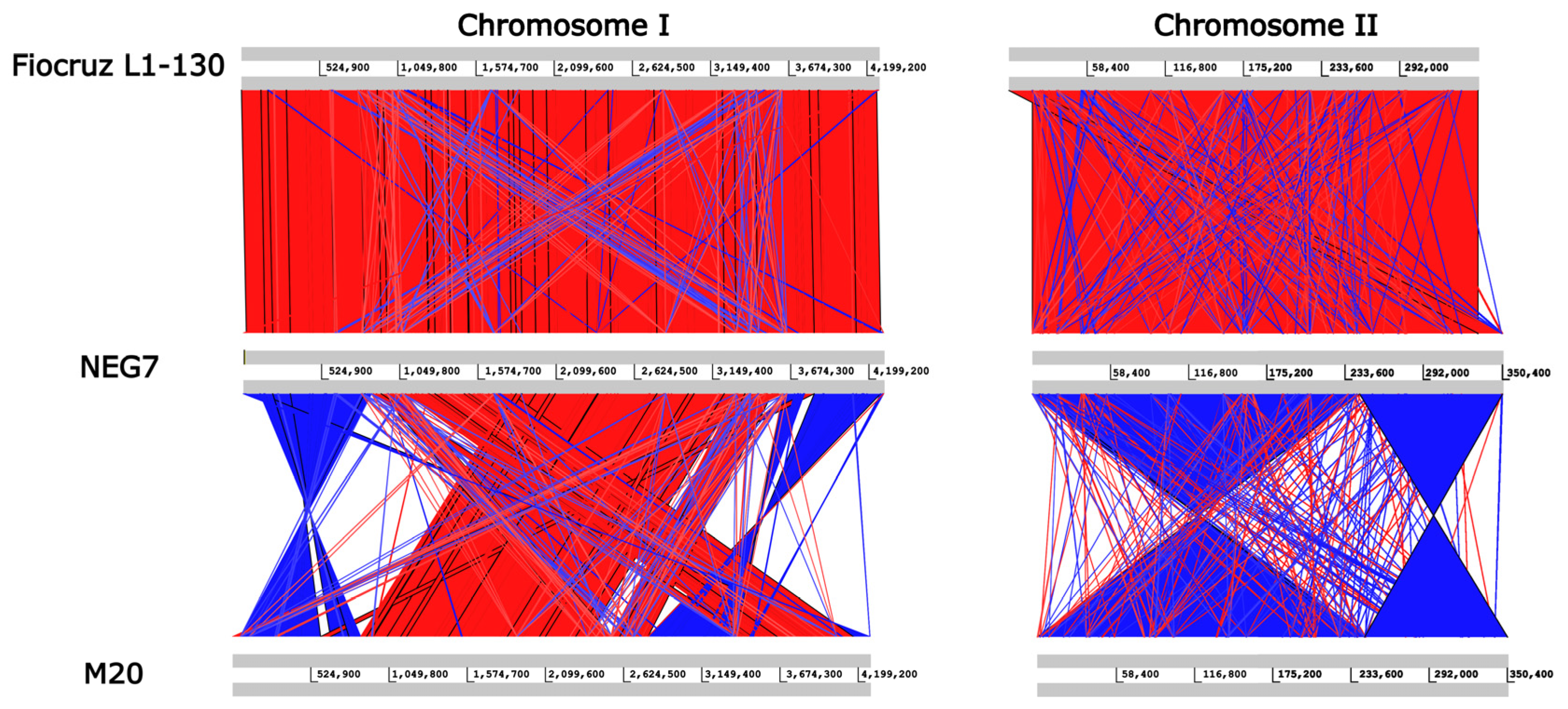 Tropicalmed 07 00333 g004