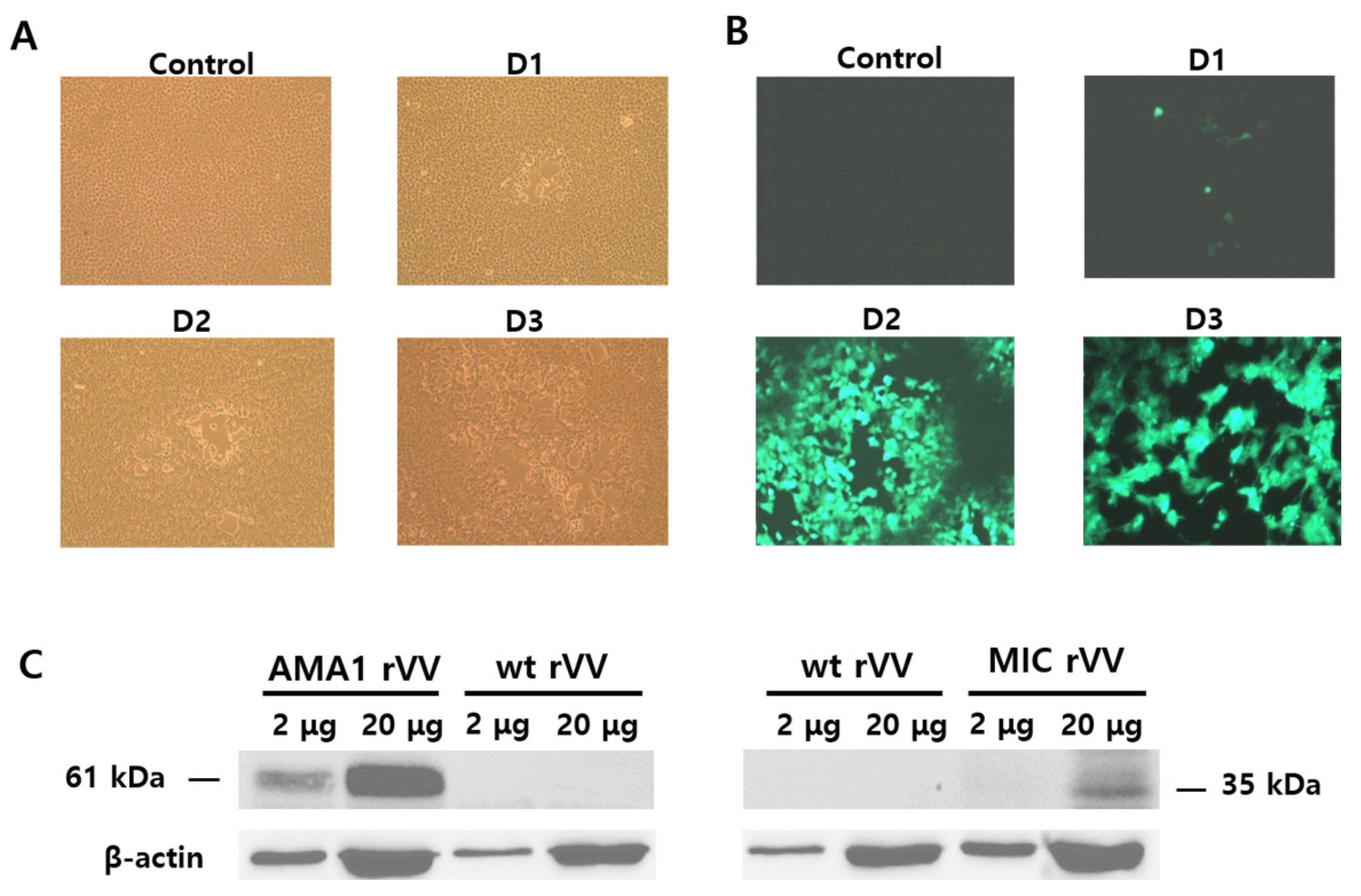 Tropicalmed 07 00350 g002