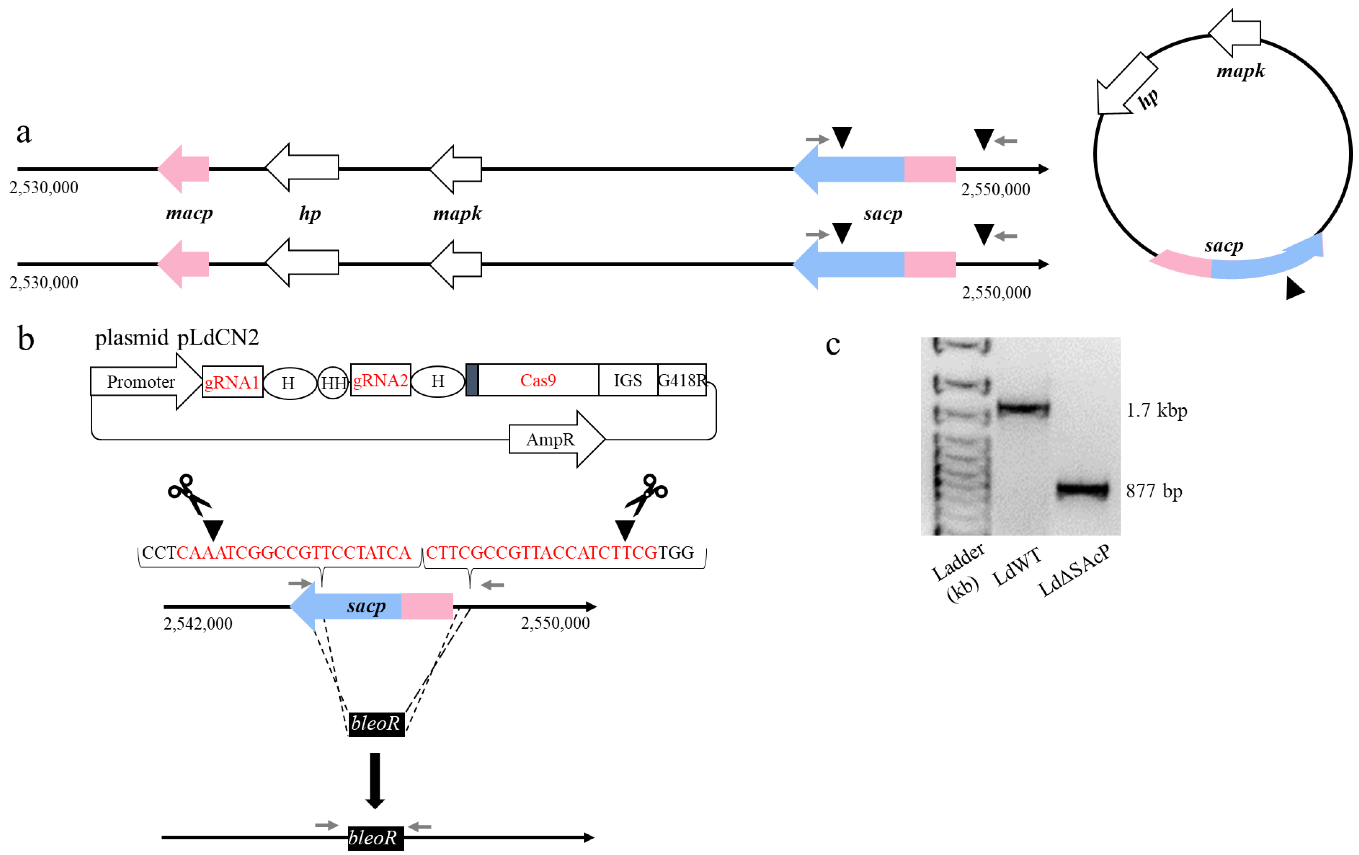 Tropicalmed 07 00384 g002
