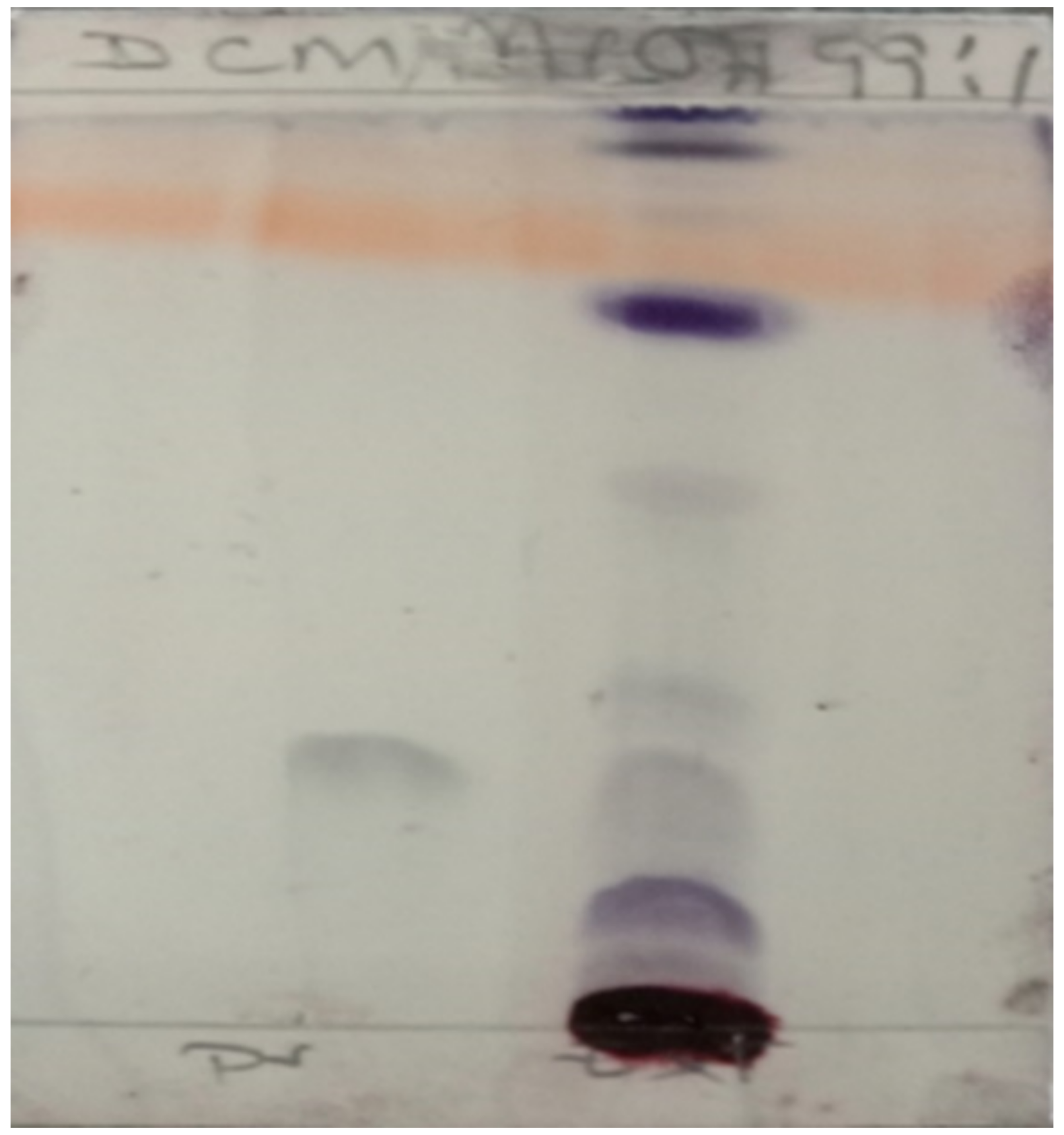 Tropicalmed 07 00396 g002