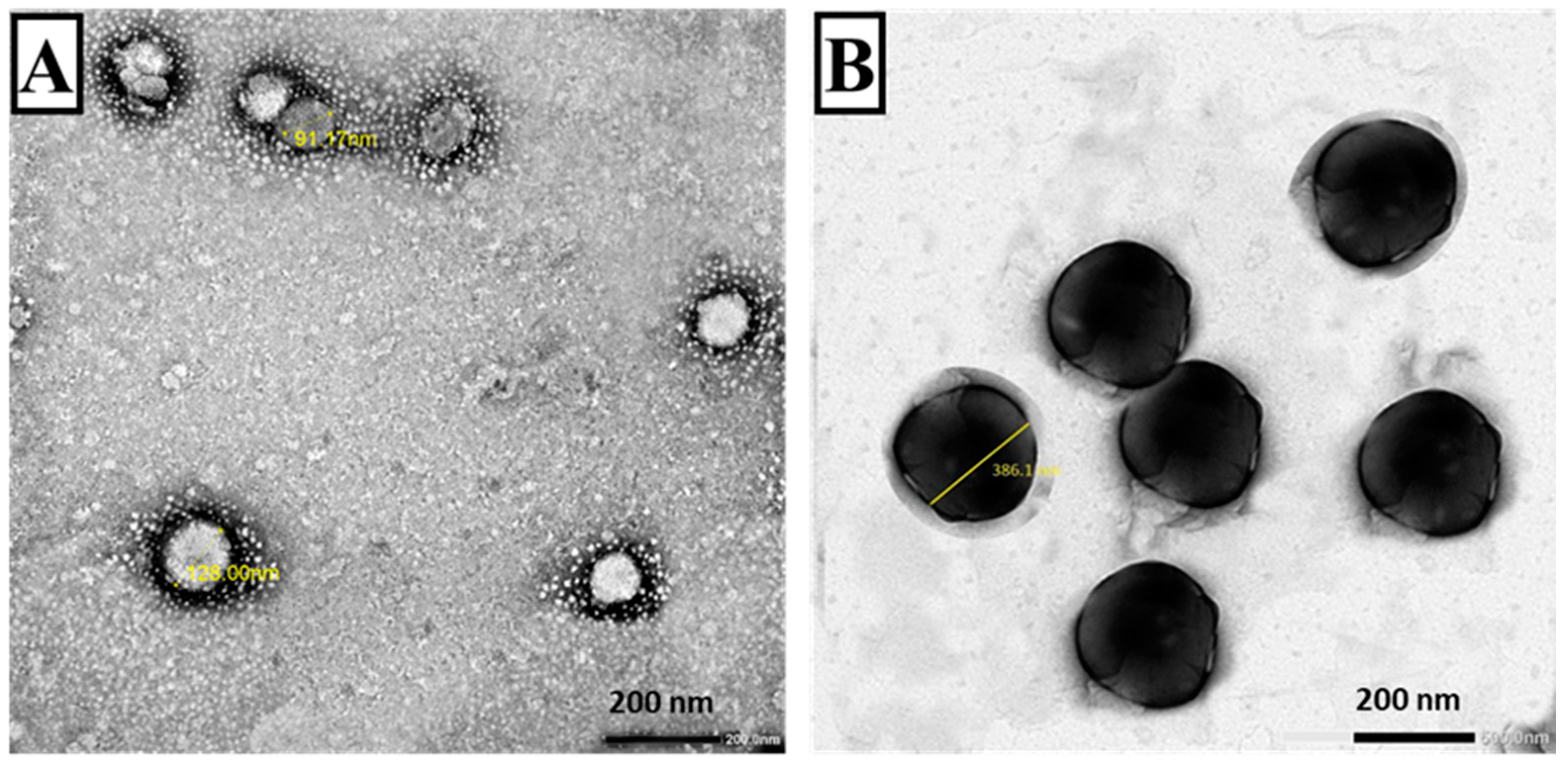 Tropicalmed 07 00401 g003 Tropicalmed 07 00401 g003