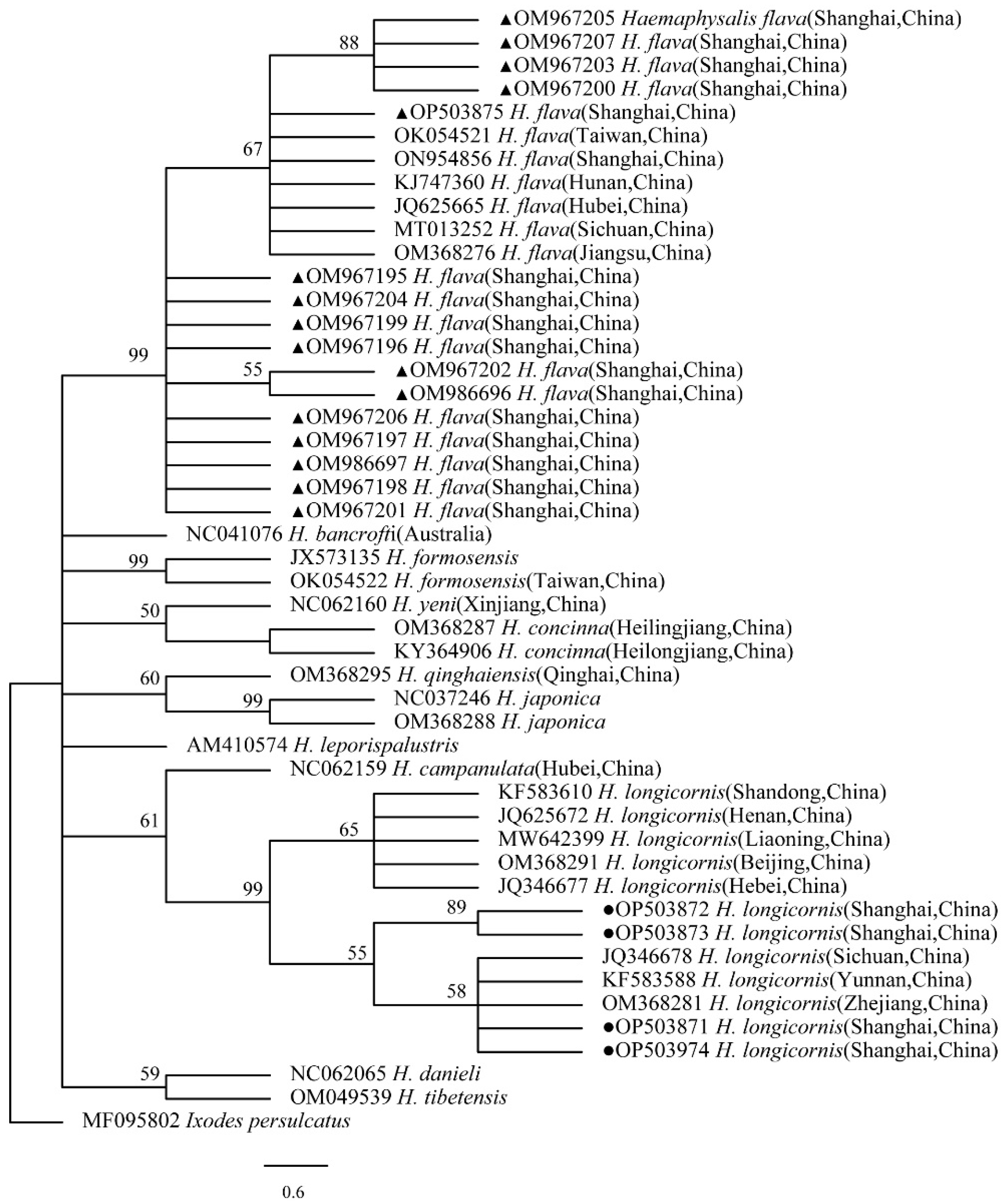Tropicalmed 07 00413 g009