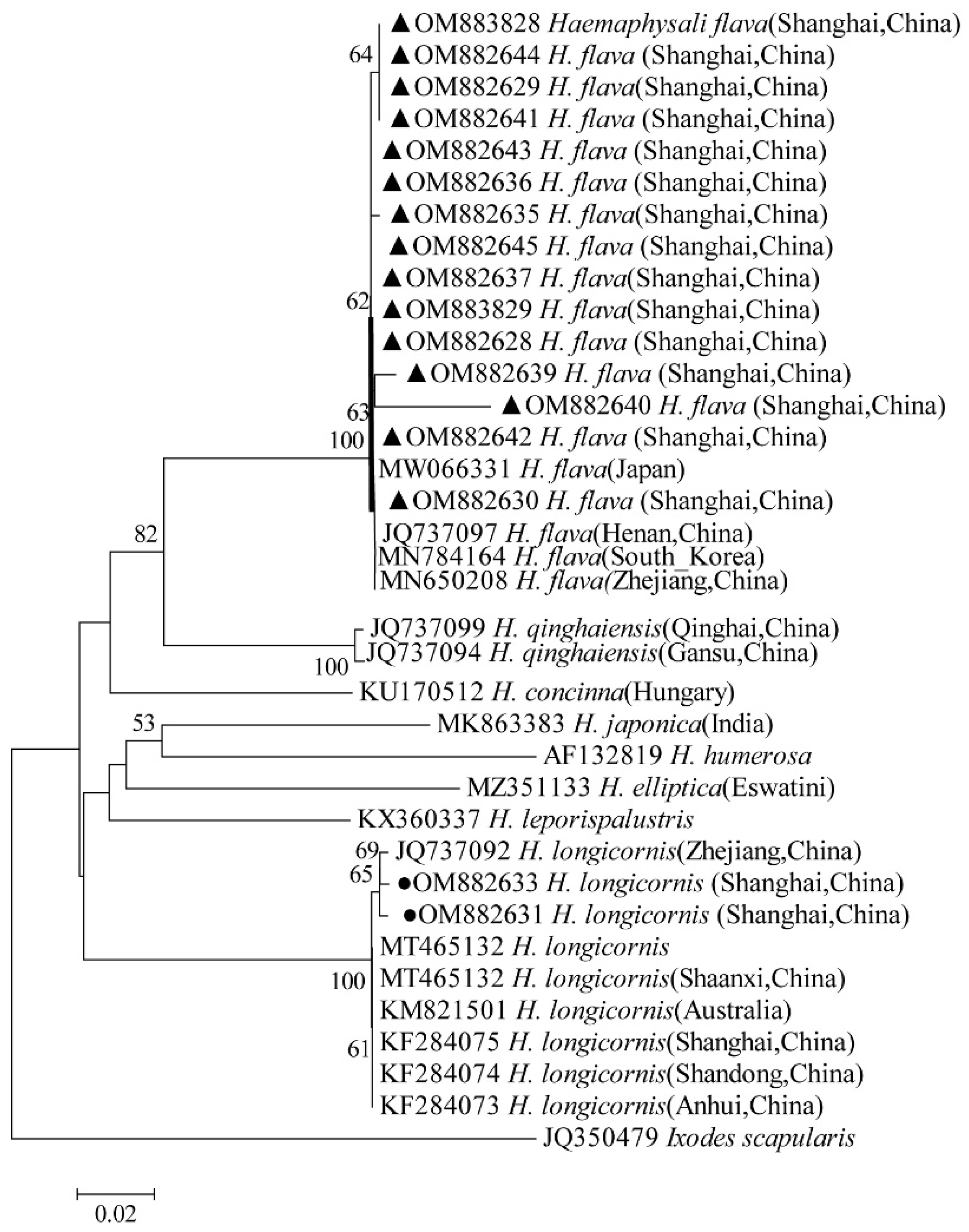 Tropicalmed 07 00413 g010