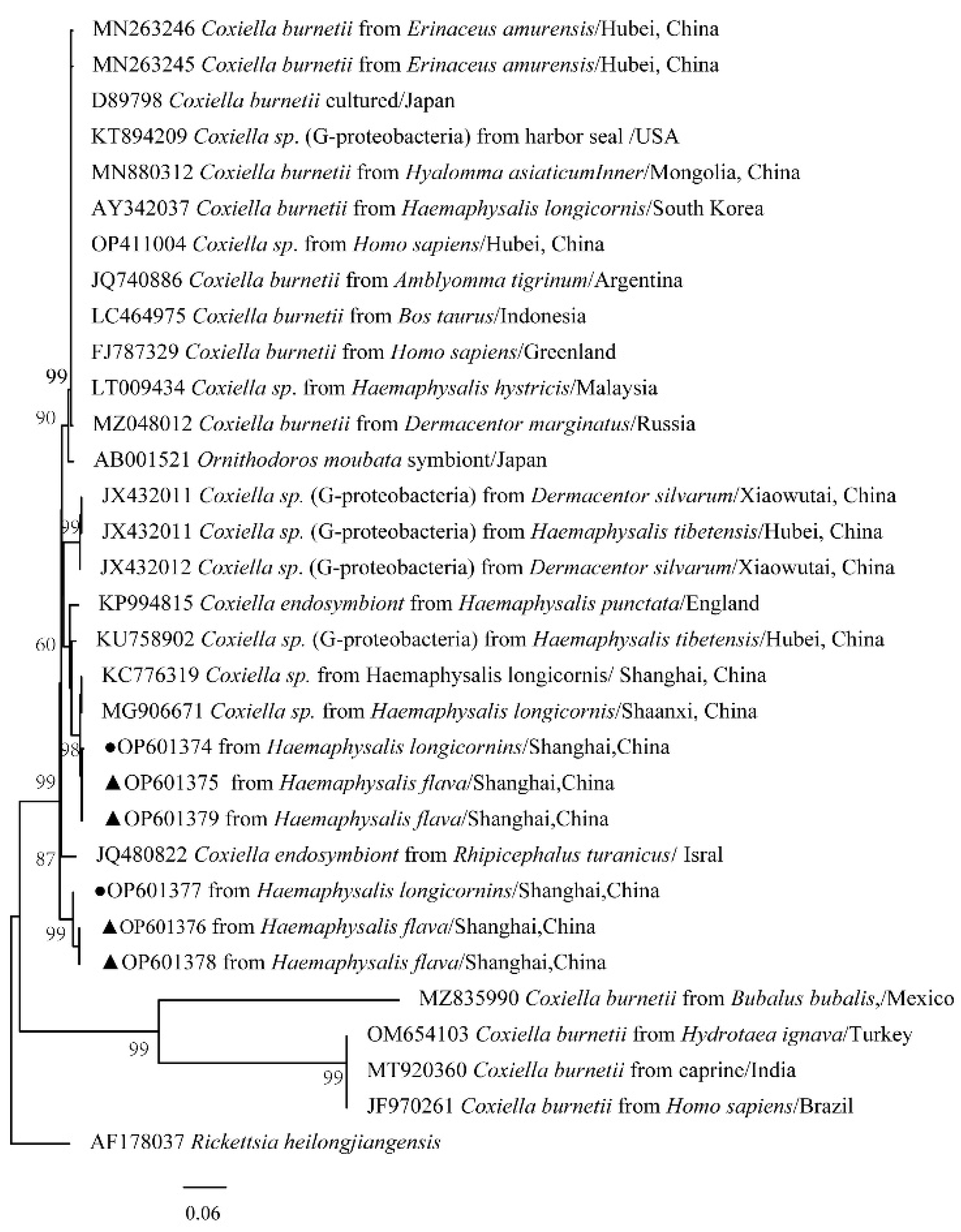 Tropicalmed 07 00413 g011