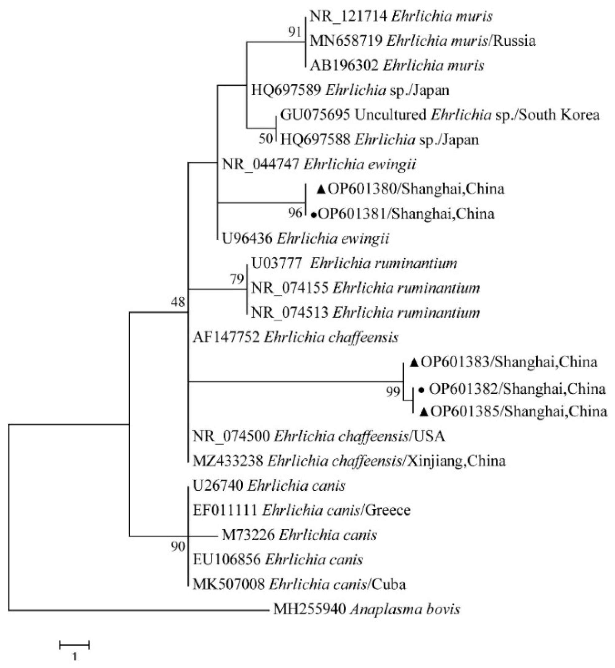 Tropicalmed 07 00413 g012