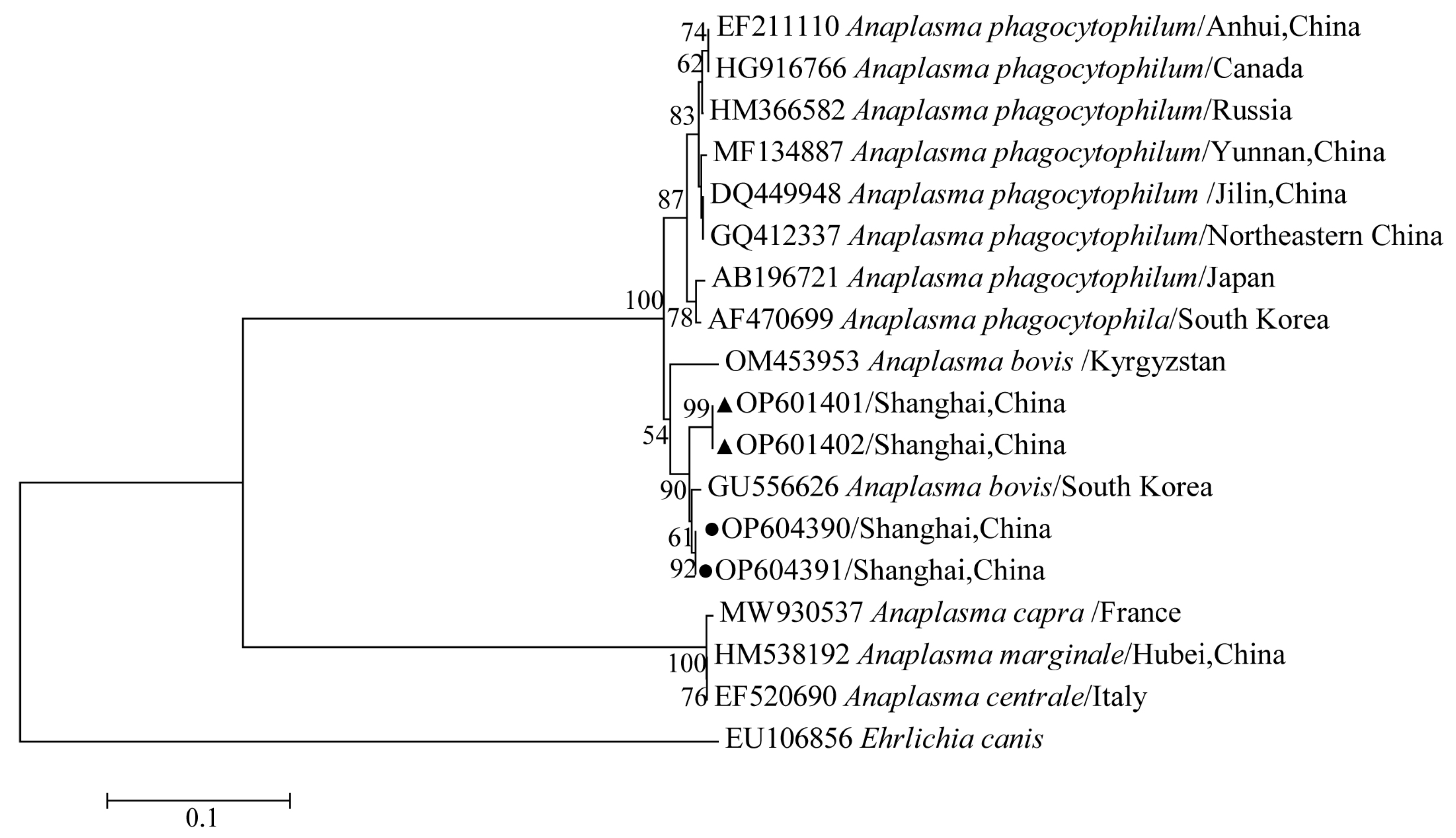 Tropicalmed 07 00413 g013