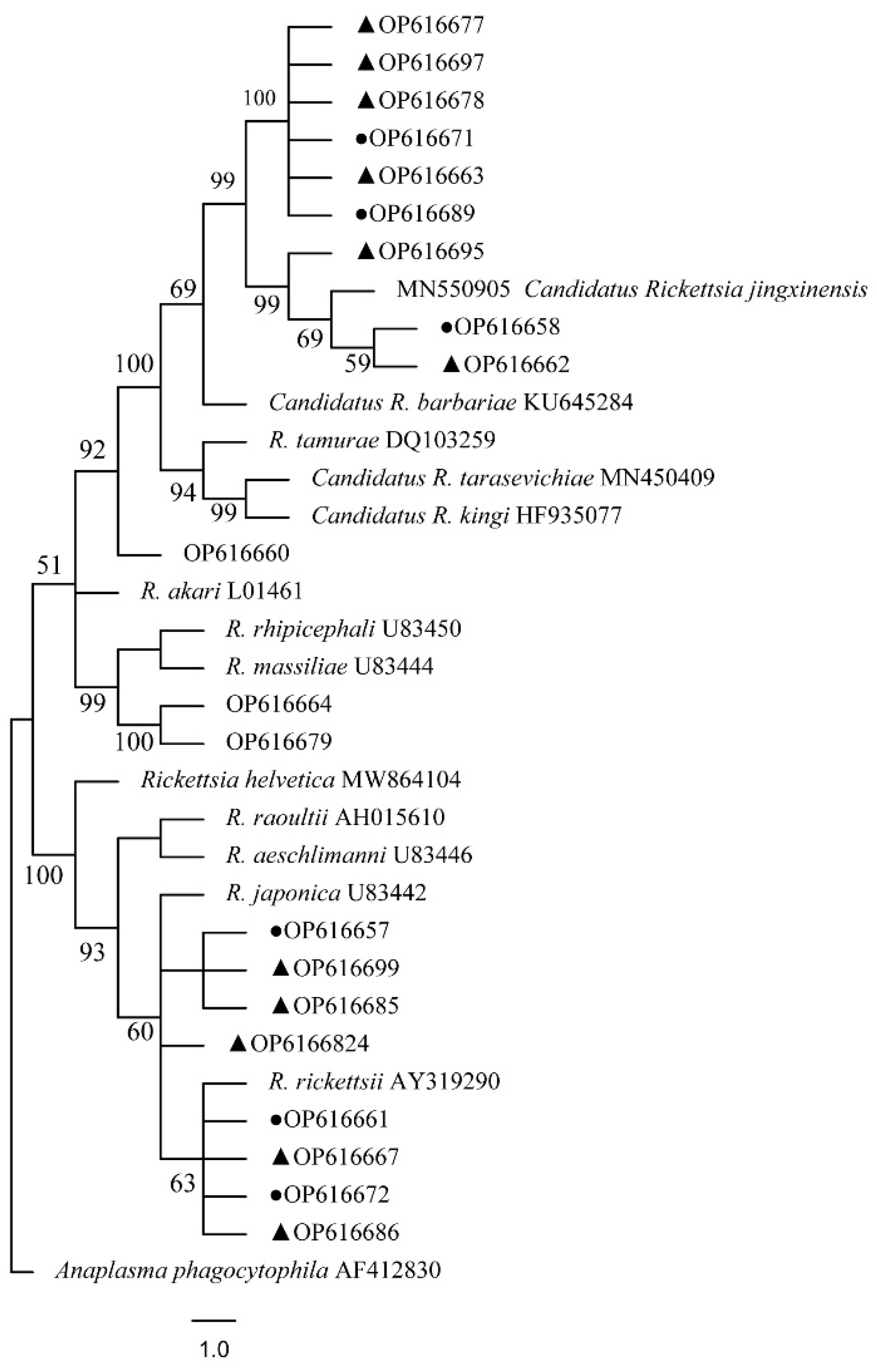 Tropicalmed 07 00413 g014