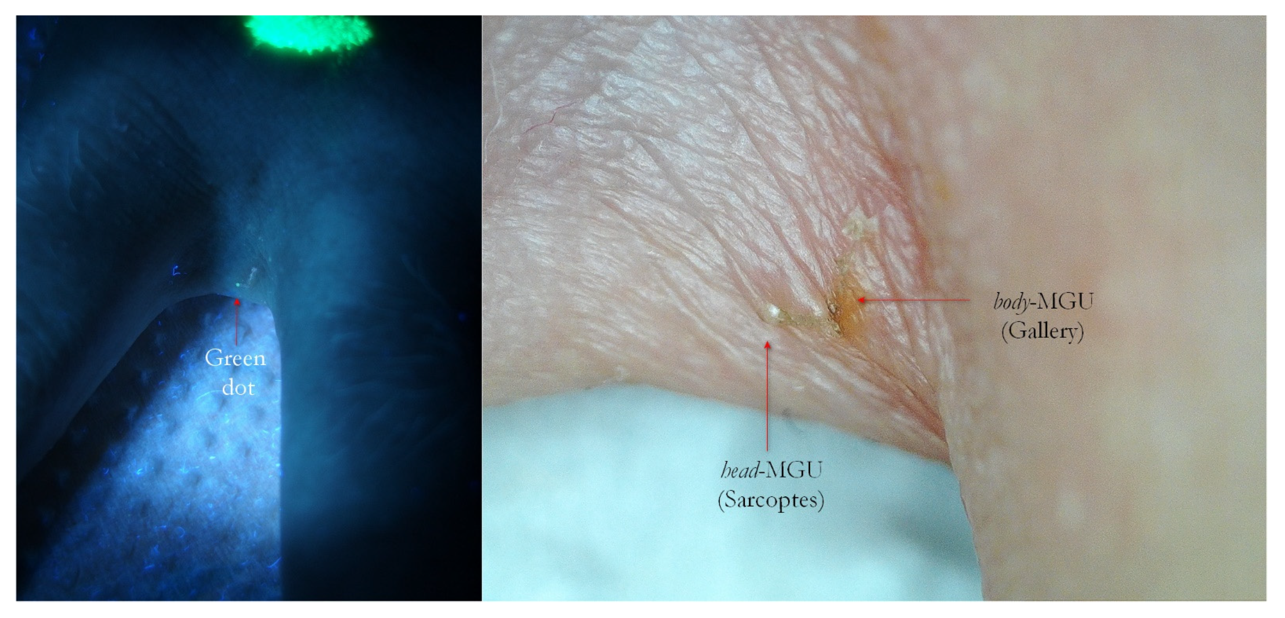 Tropicalmed 07 00422 g012