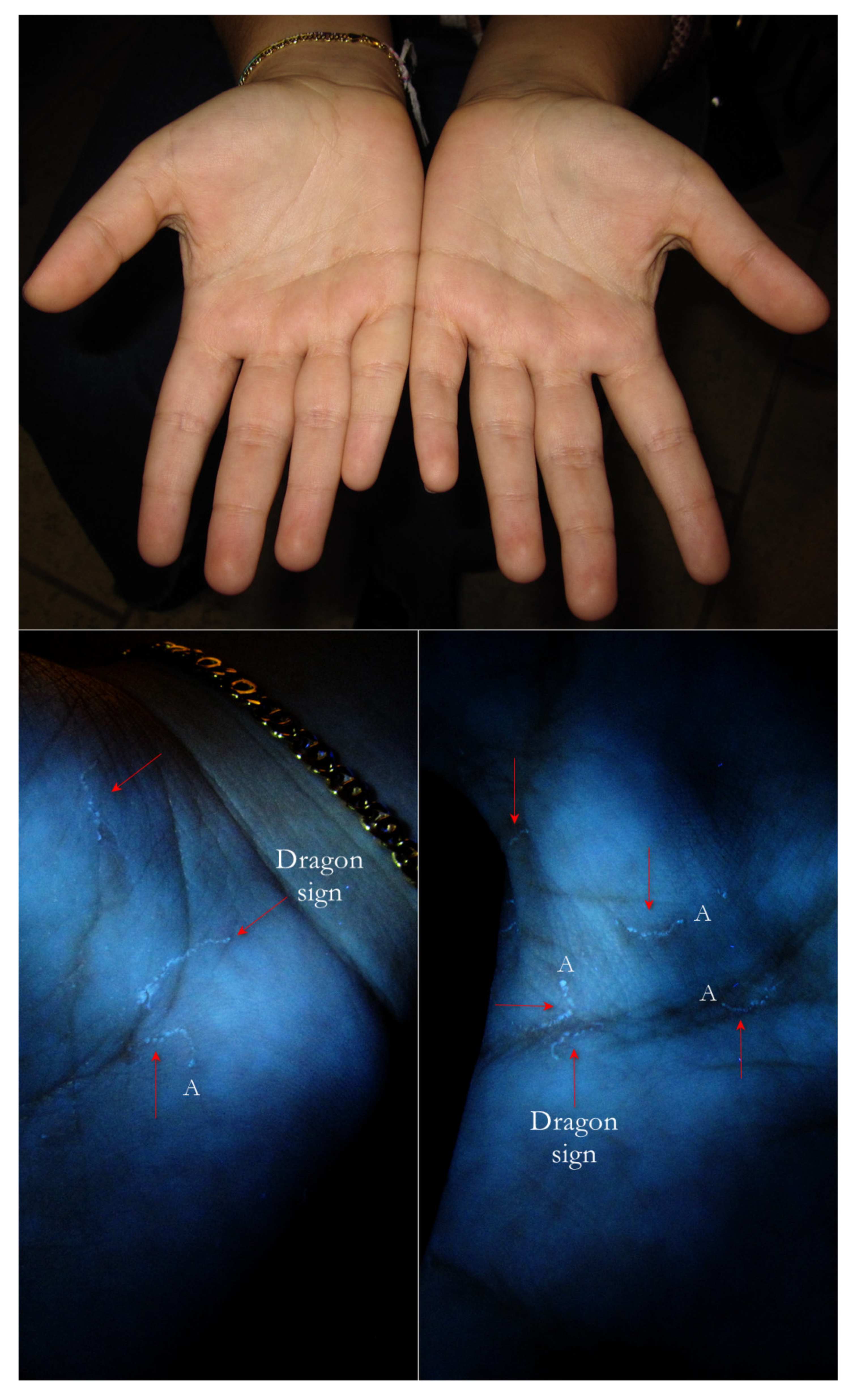 Tropicalmed 07 00422 g013