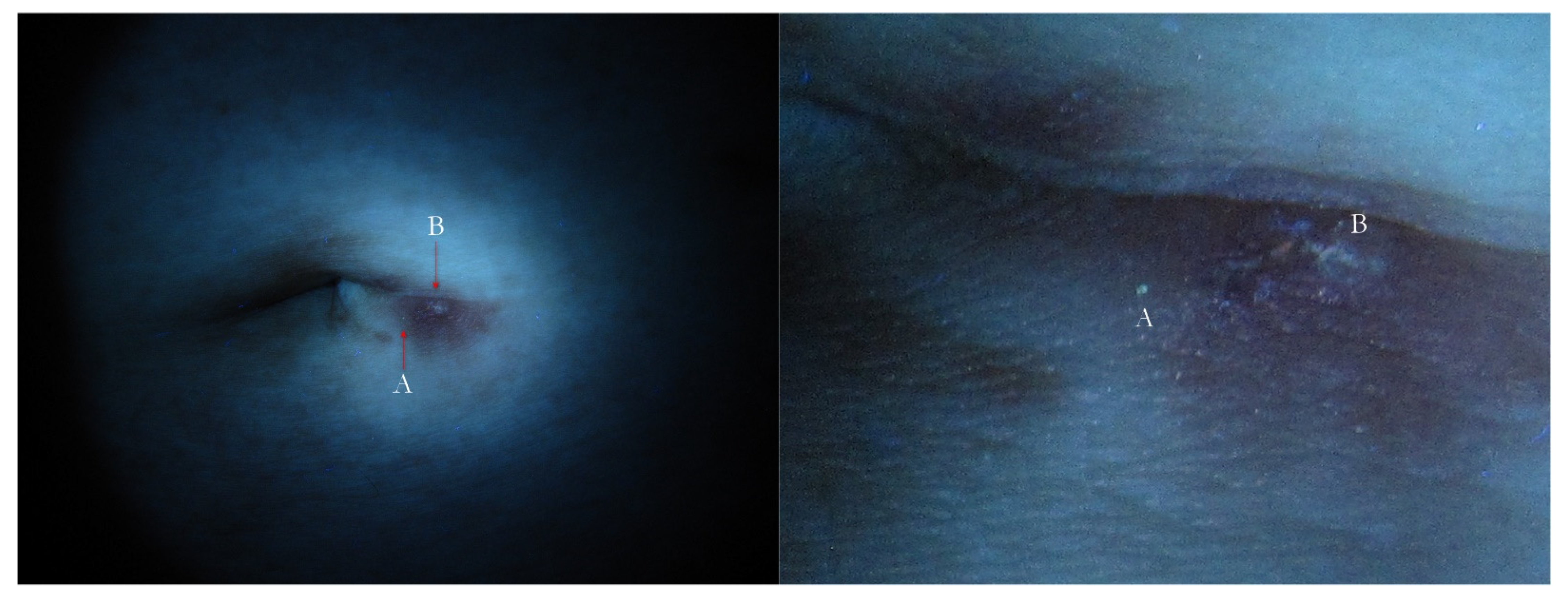 Tropicalmed 07 00422 g016