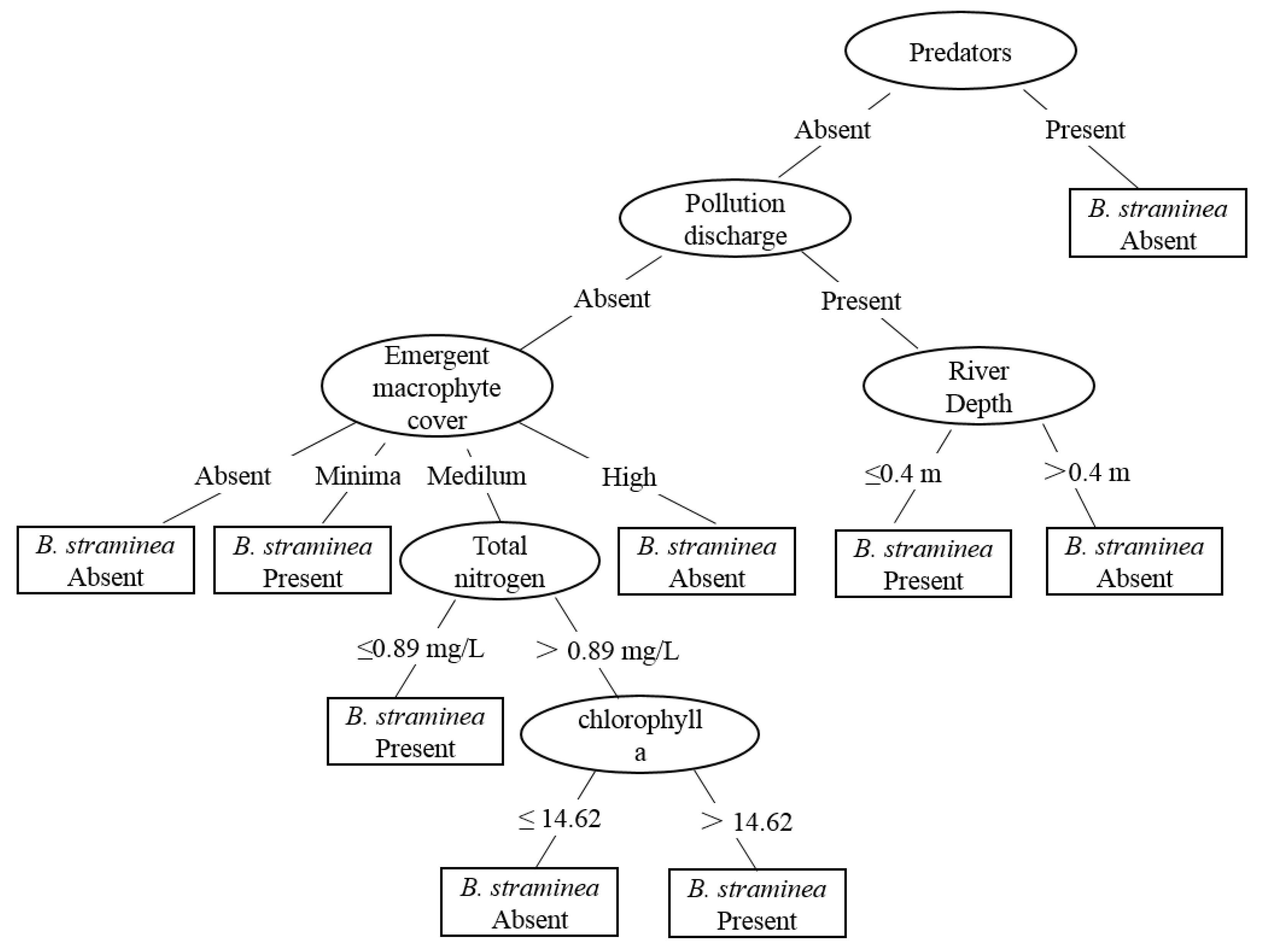 Tropicalmed 07 00426 g003