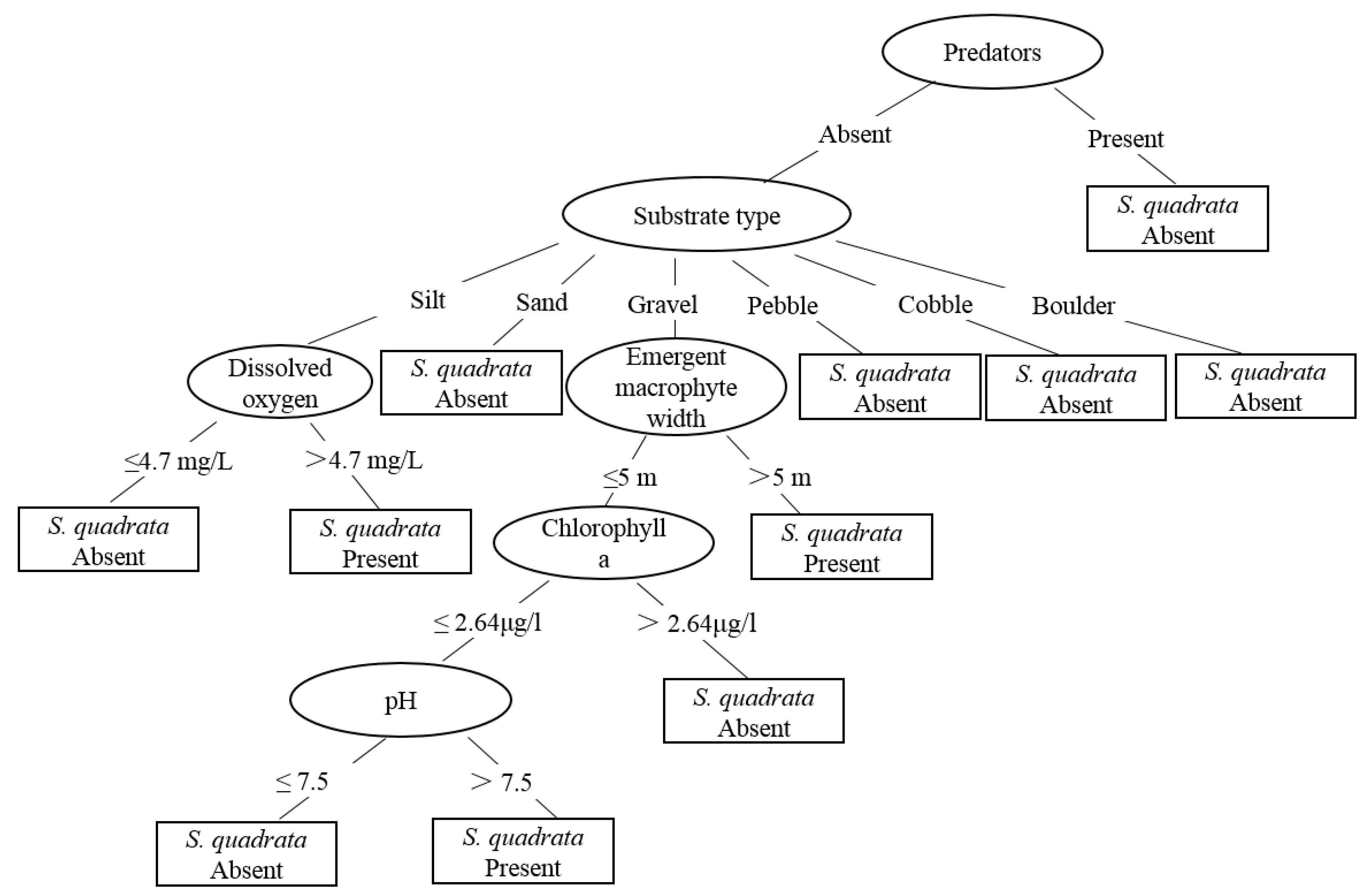Tropicalmed 07 00426 g004
