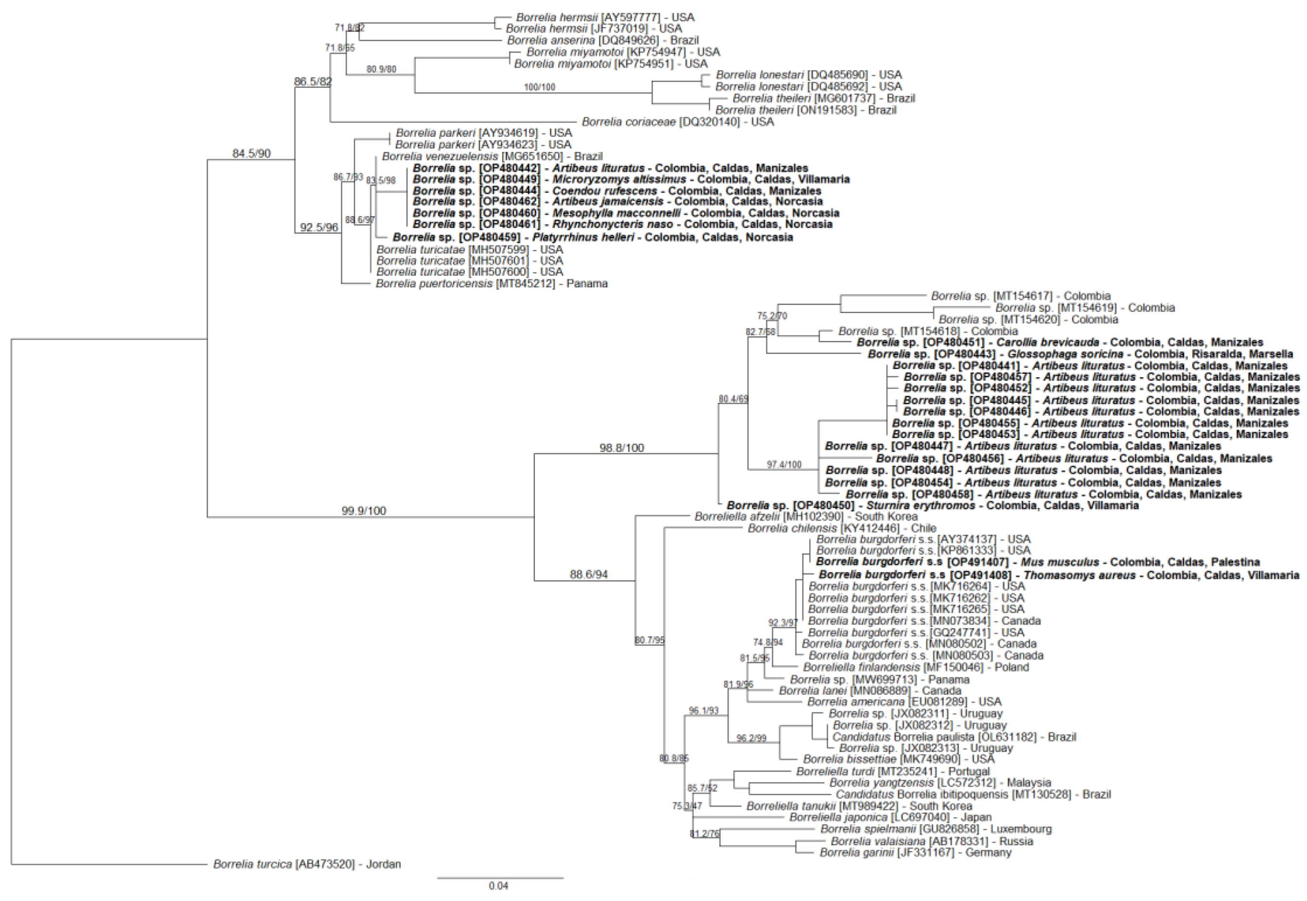Tropicalmed 07 00428 g003 Tropicalmed 07 00428 g003