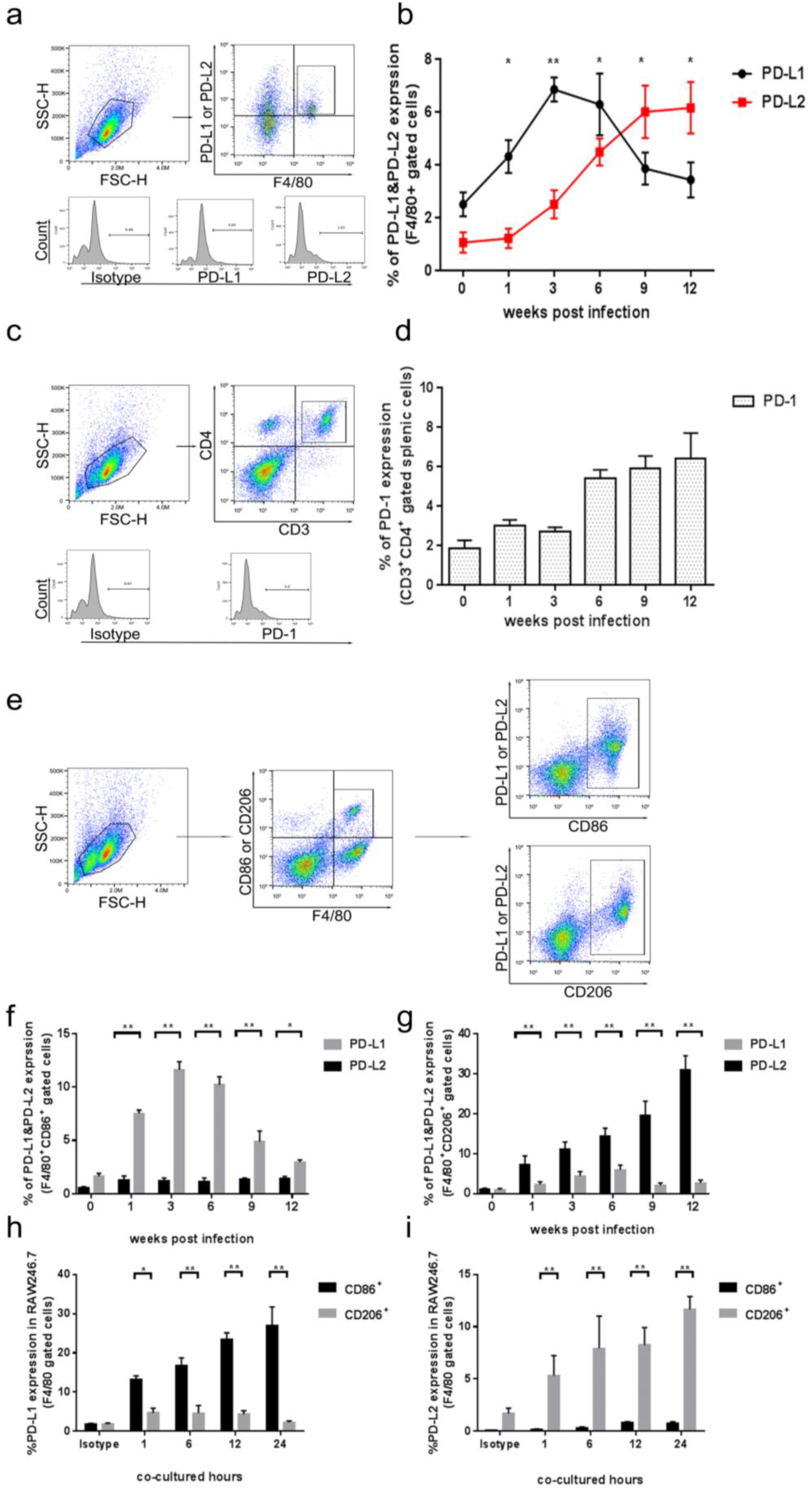 Tropicalmed 08 00046 g002