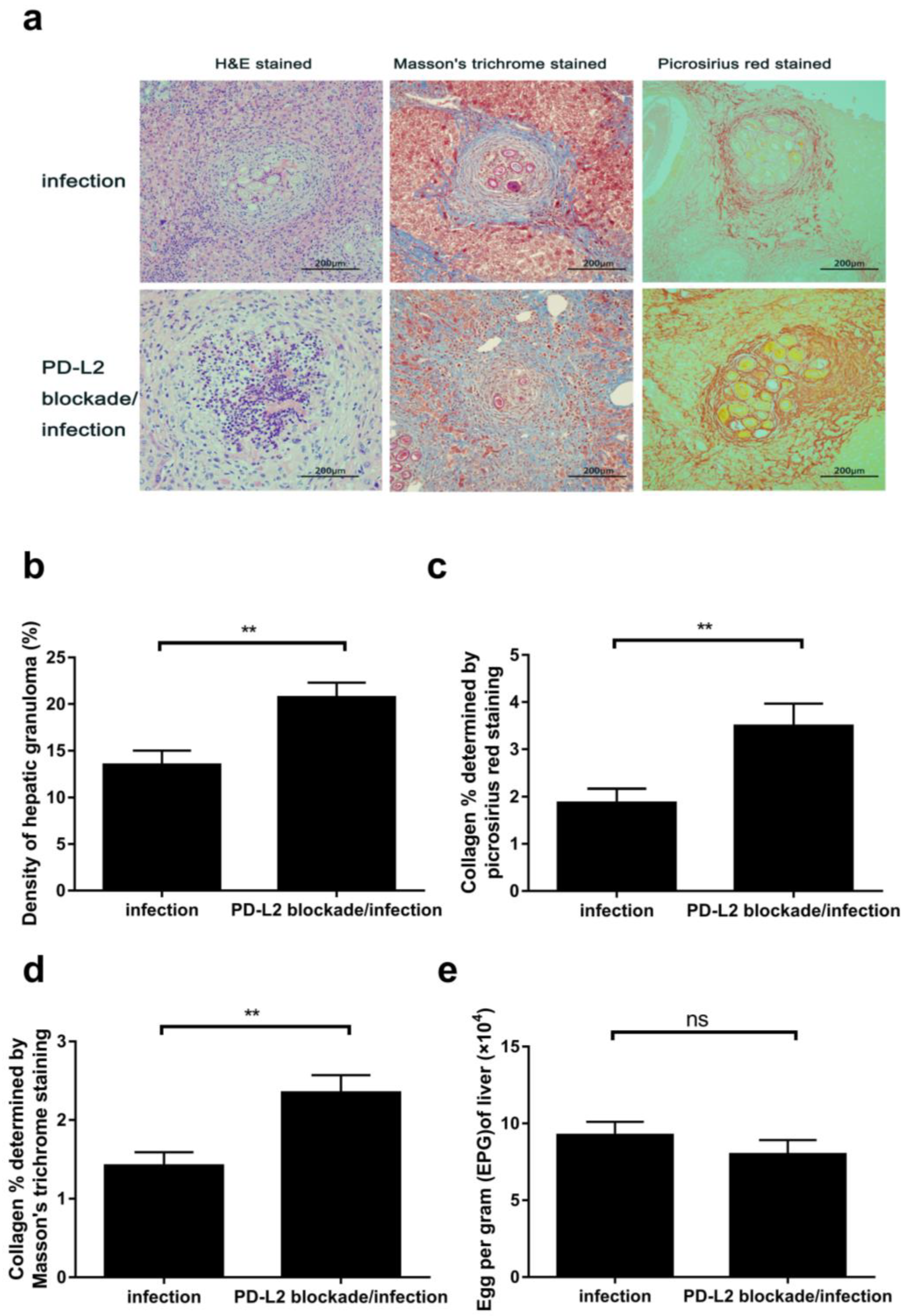 Tropicalmed 08 00046 g003