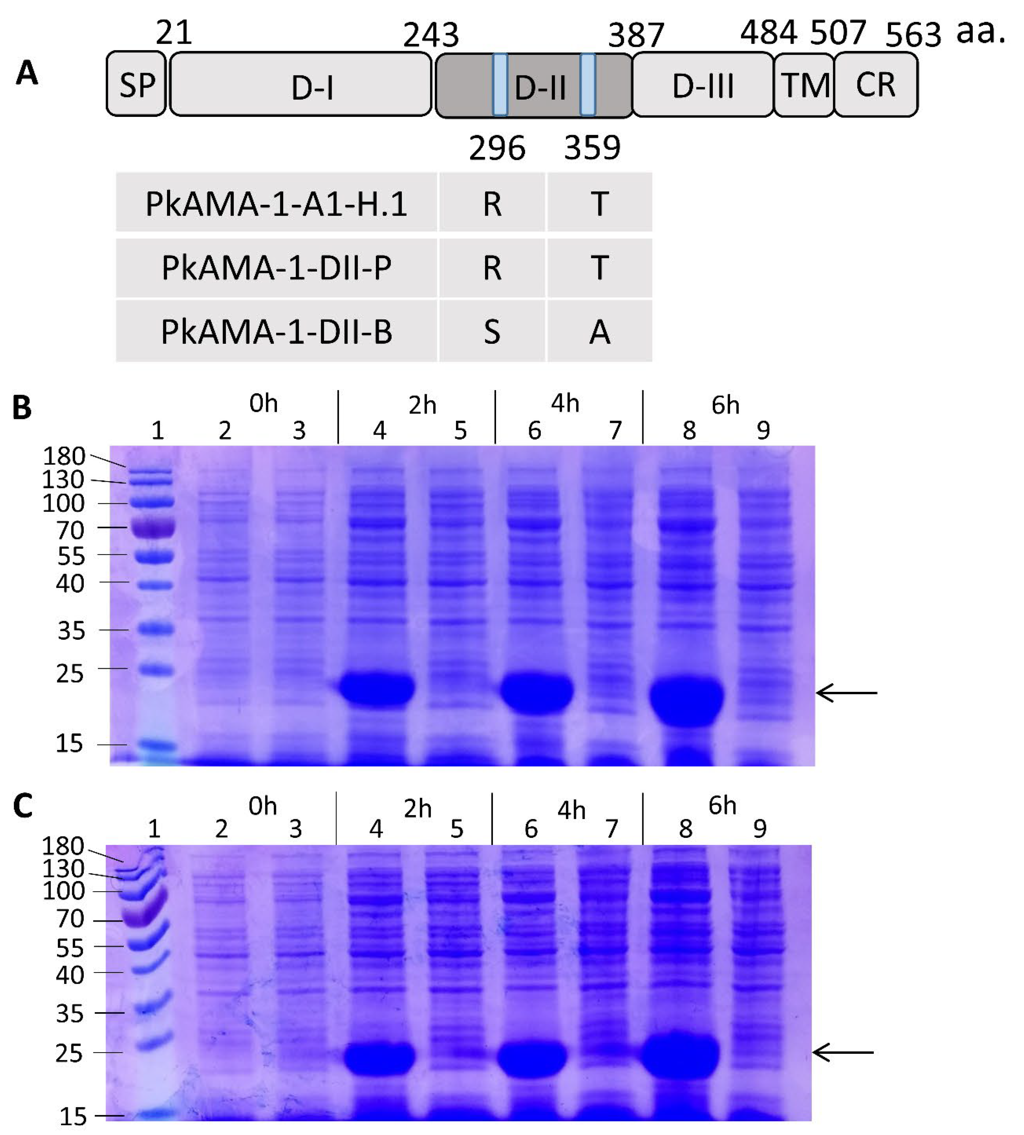 Tropicalmed 08 00056 g001a
